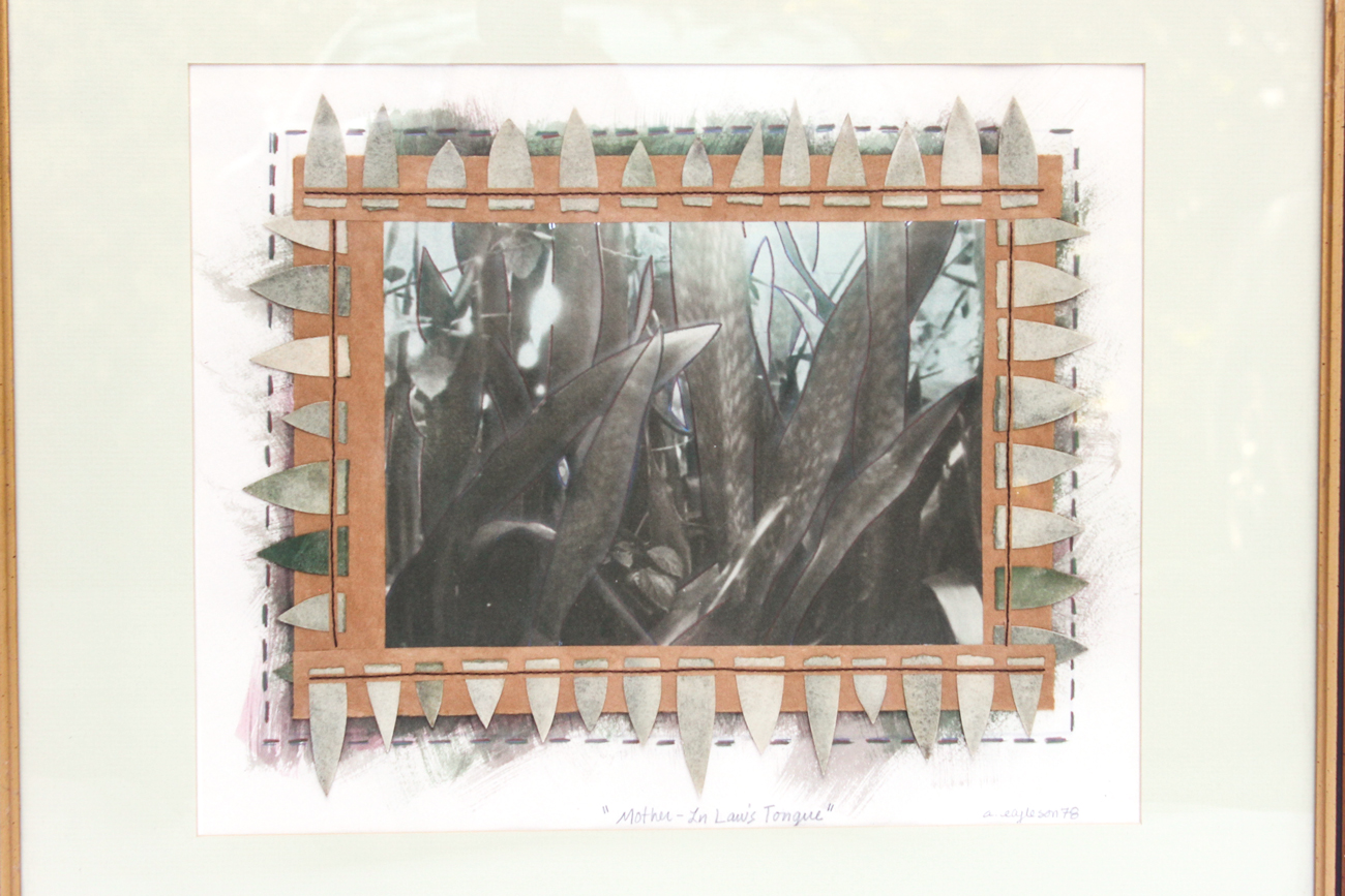 Mixed Media Titled "Mother-In-Law's Tongue"