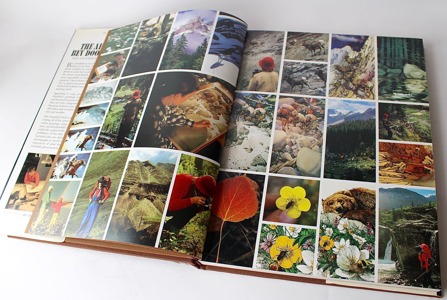 Bev Doolittle Signed Limited Edition Offset Lithograph "Season of the Eagle"