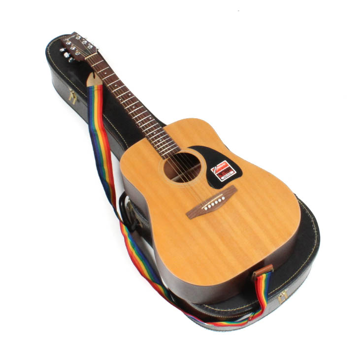 Saga Music Blueridge Contemporary Series Acoustic Guitar, Case and Accessories