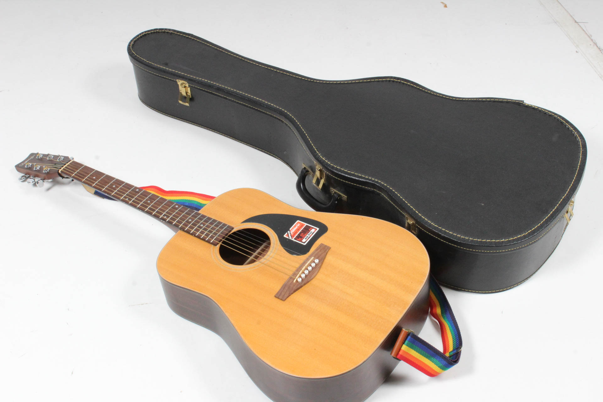 Saga Music Blueridge Contemporary Series Acoustic Guitar, Case and Accessories