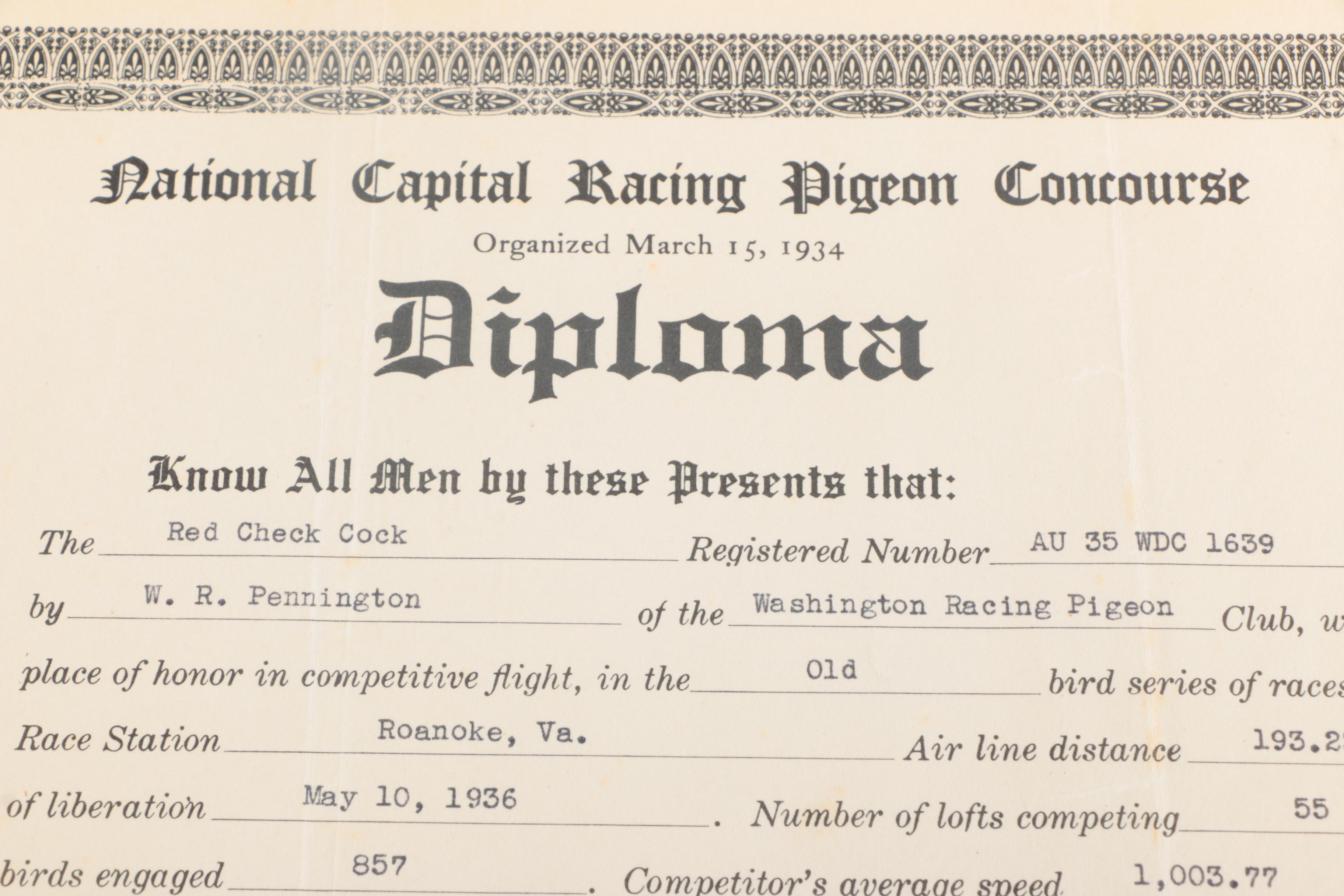 Collection of American Racing Pigeon Union Diplomas