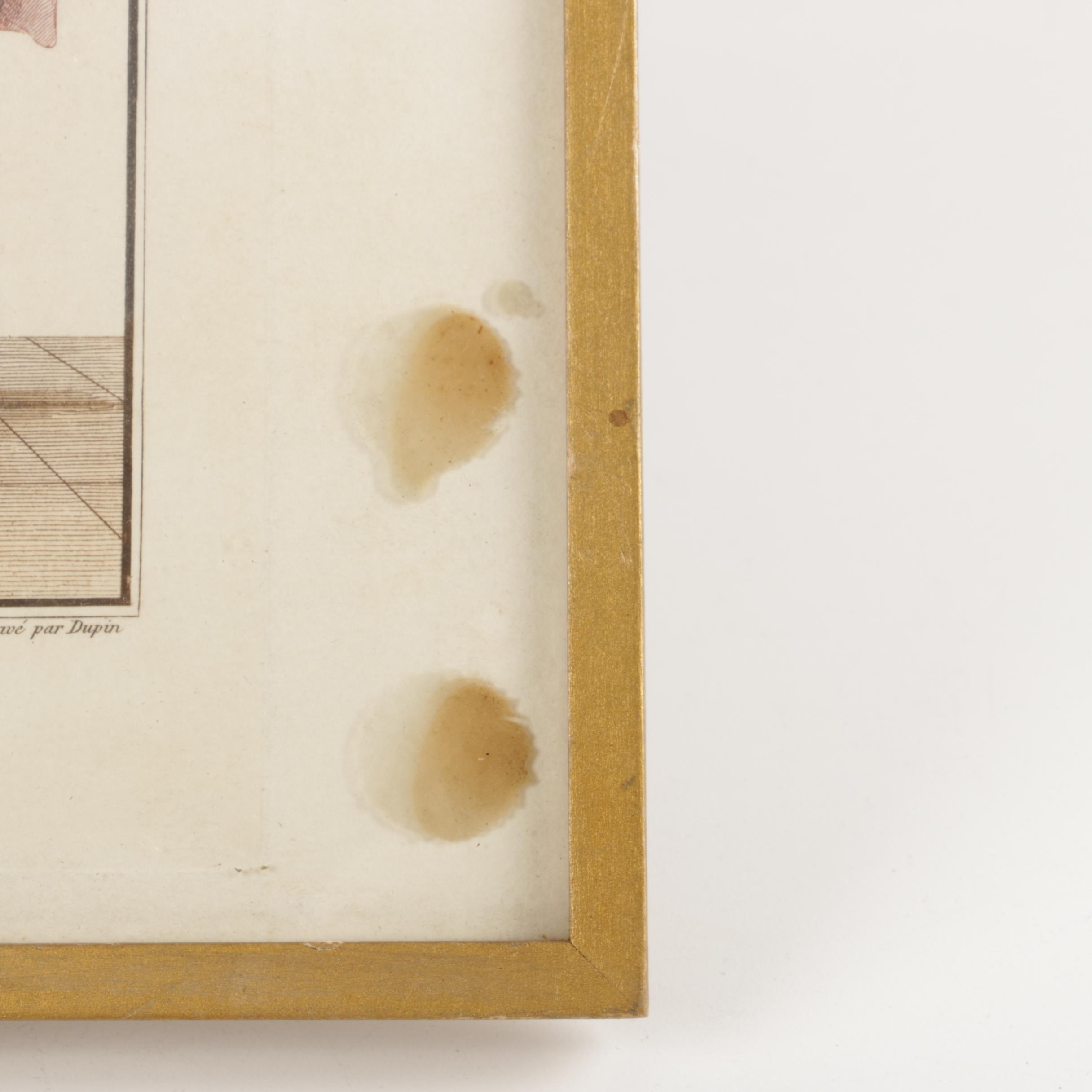 Vintage French Fashion Plate Engravings on Paper