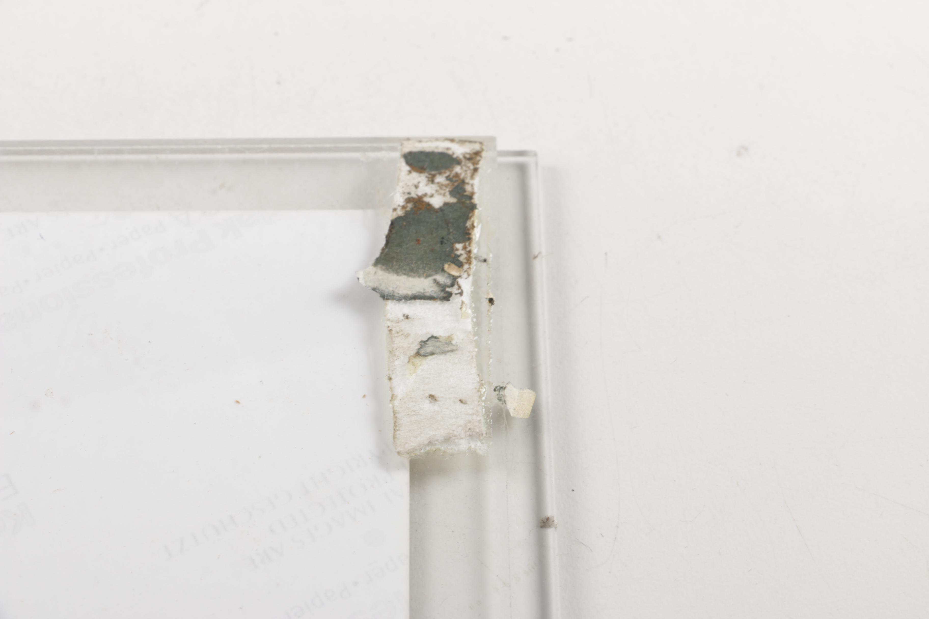 Autographed Photo of David Tyree and Shea Stadium Commemorative Plaque