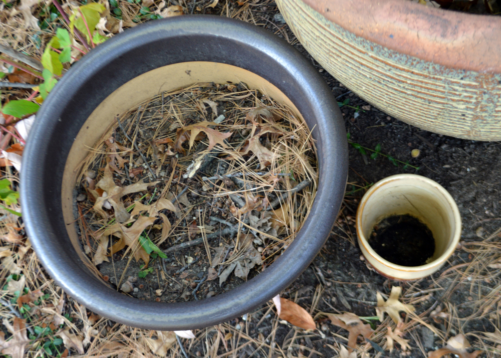 Outdoor Ceramic Planter Assortment