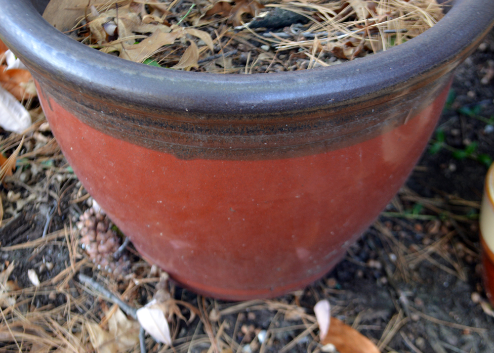 Outdoor Ceramic Planter Assortment