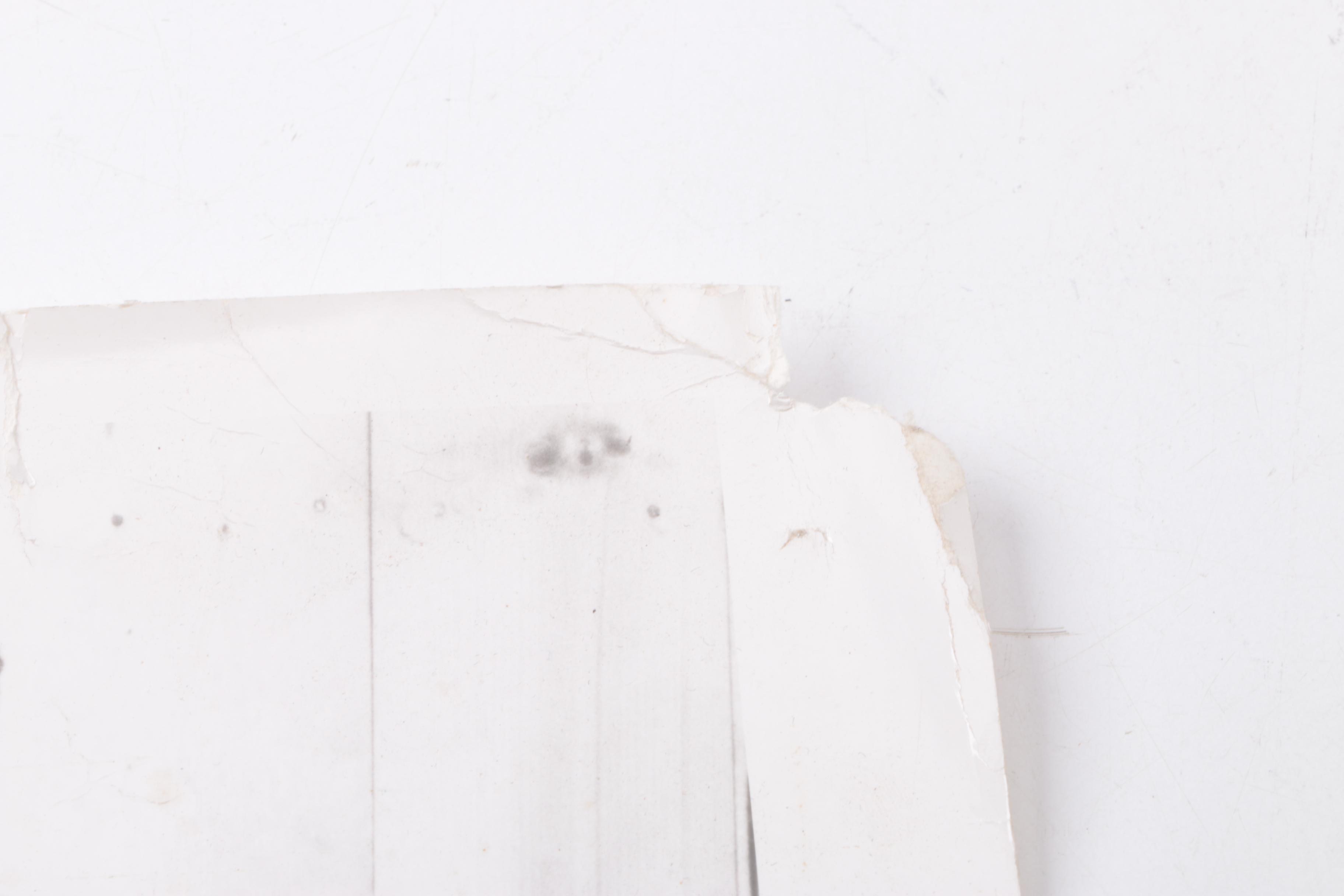 Boxing Photographs Featuring Muhammad Ali