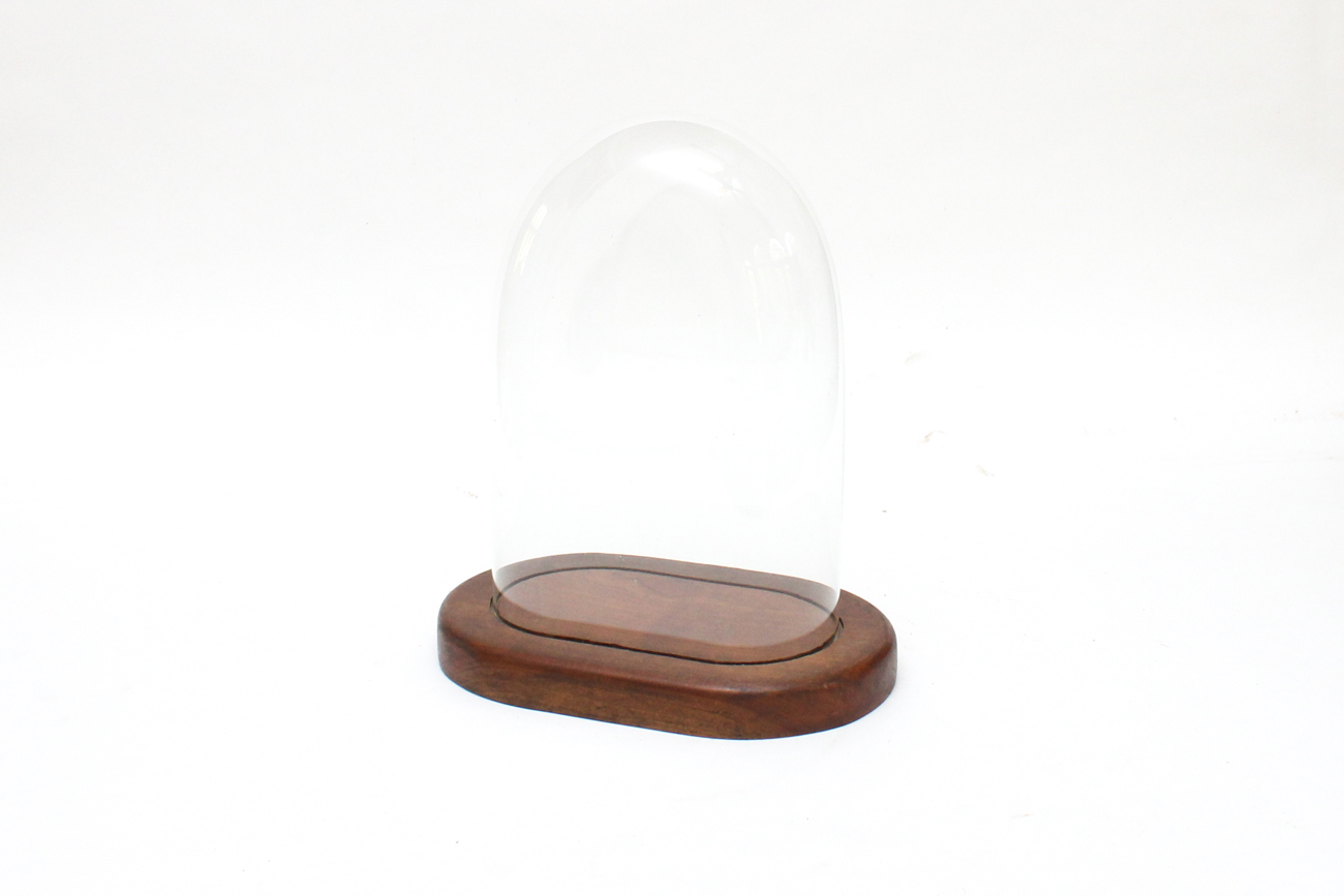 Large Oval Glass Dome Cloche