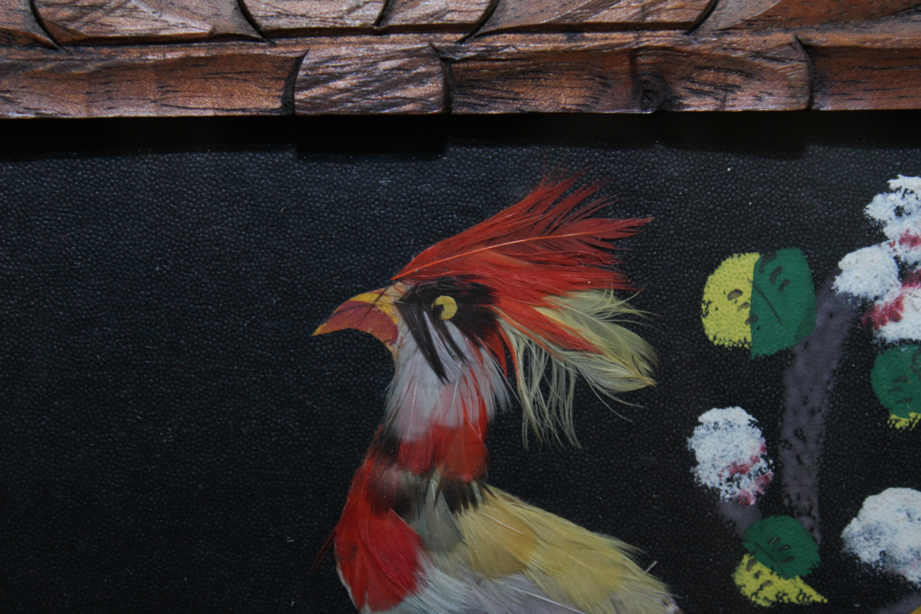 Vintage Mexican Tropical Bird Collages