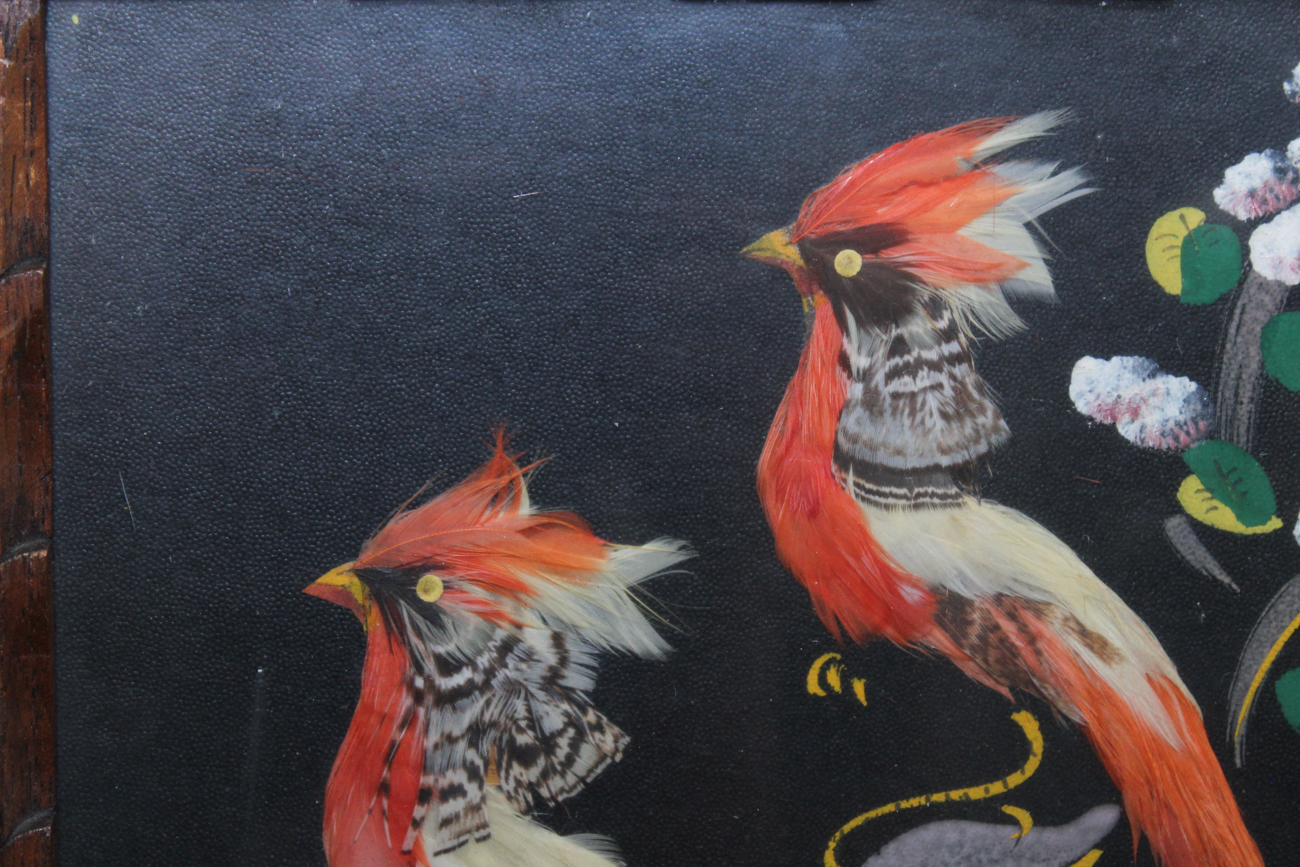 Vintage Mexican Tropical Bird Collages