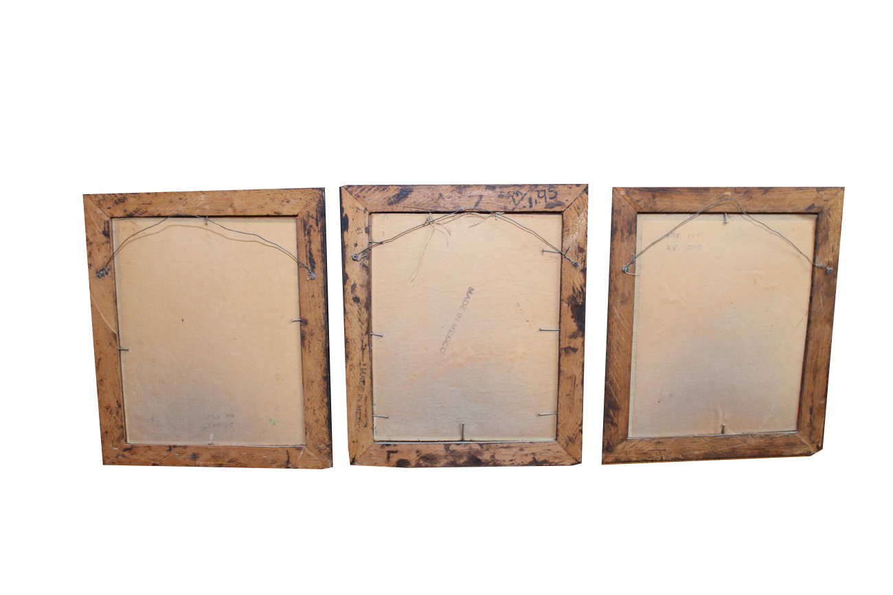 Vintage Mexican Tropical Bird Collages