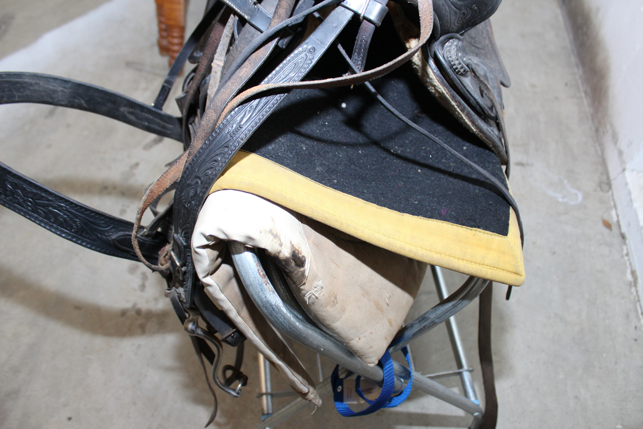 Western Saddle, Bridle, and Saddle Rack