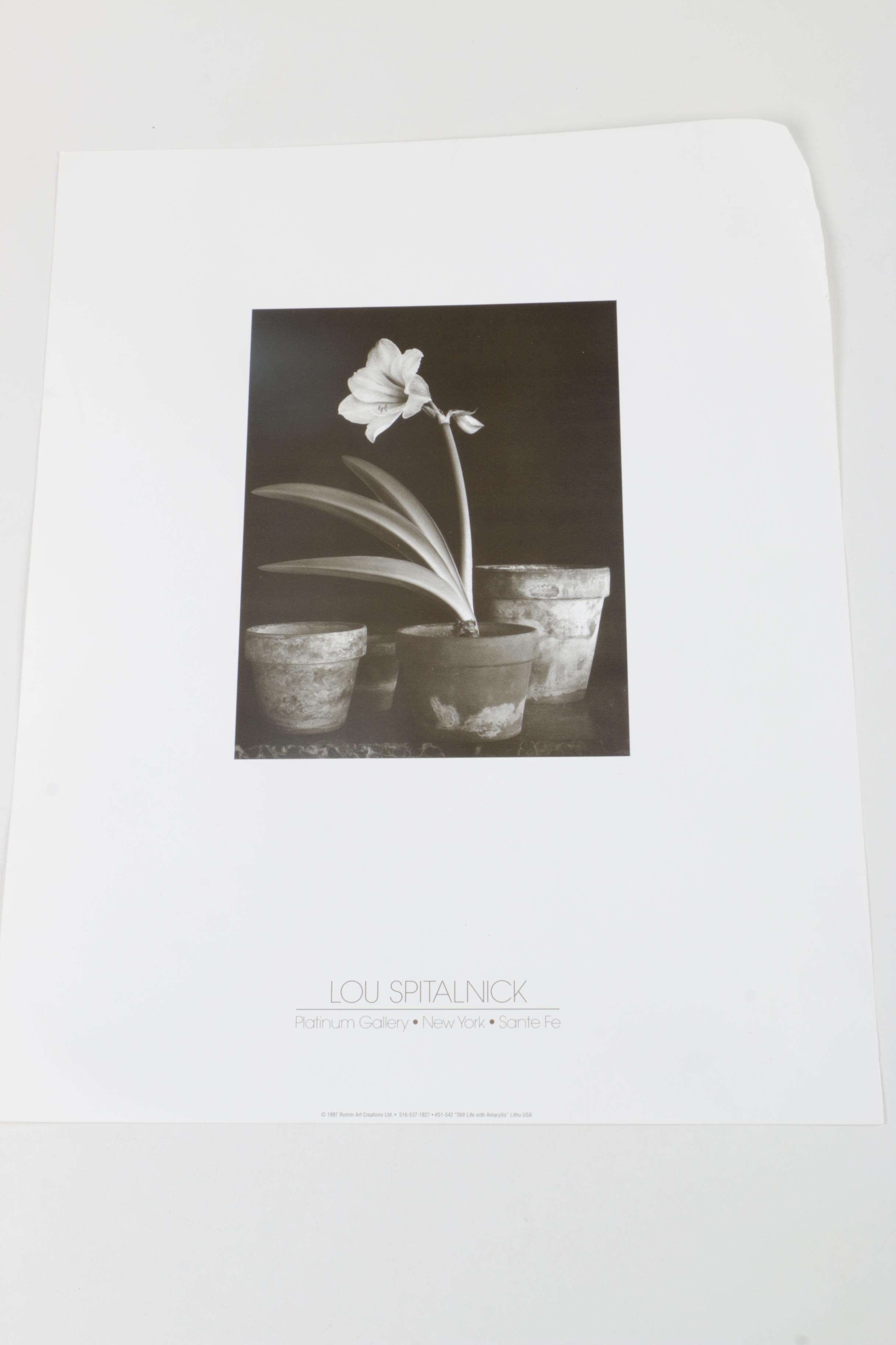 Richard Calvo Signed Photographs