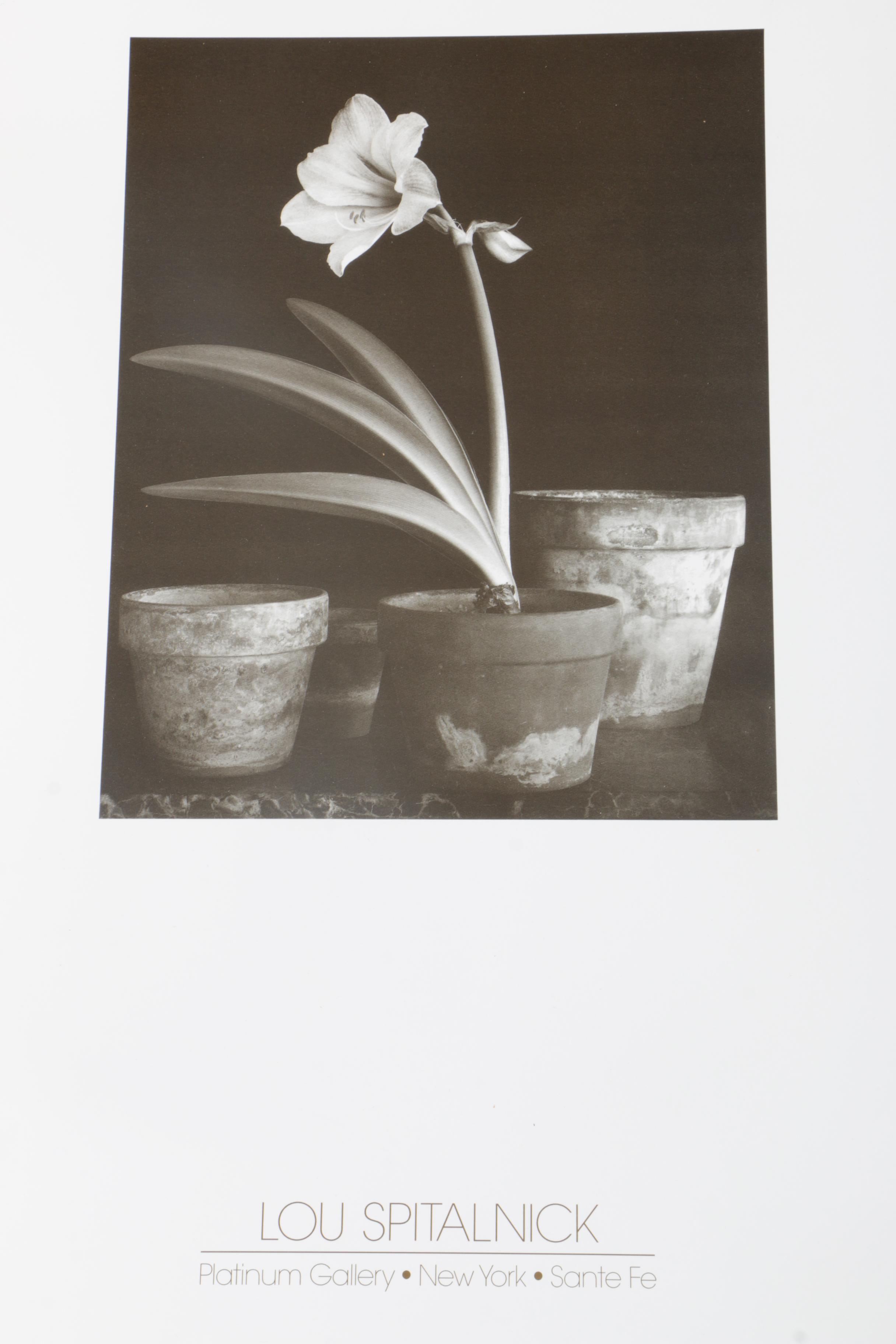 Richard Calvo Signed Photographs