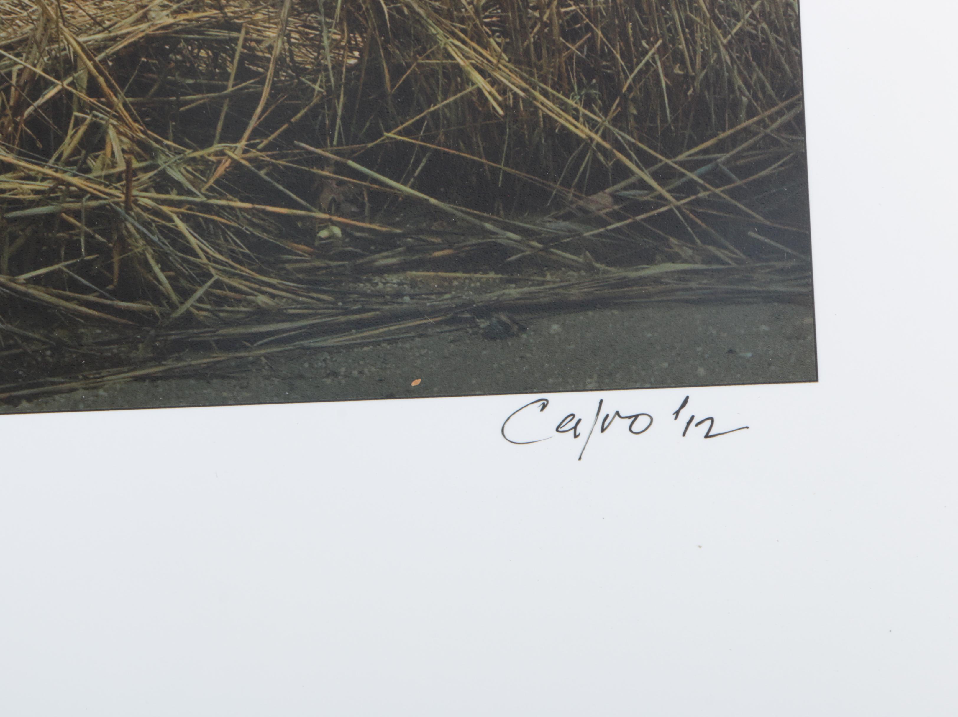 Richard Calvo Signed Photographs