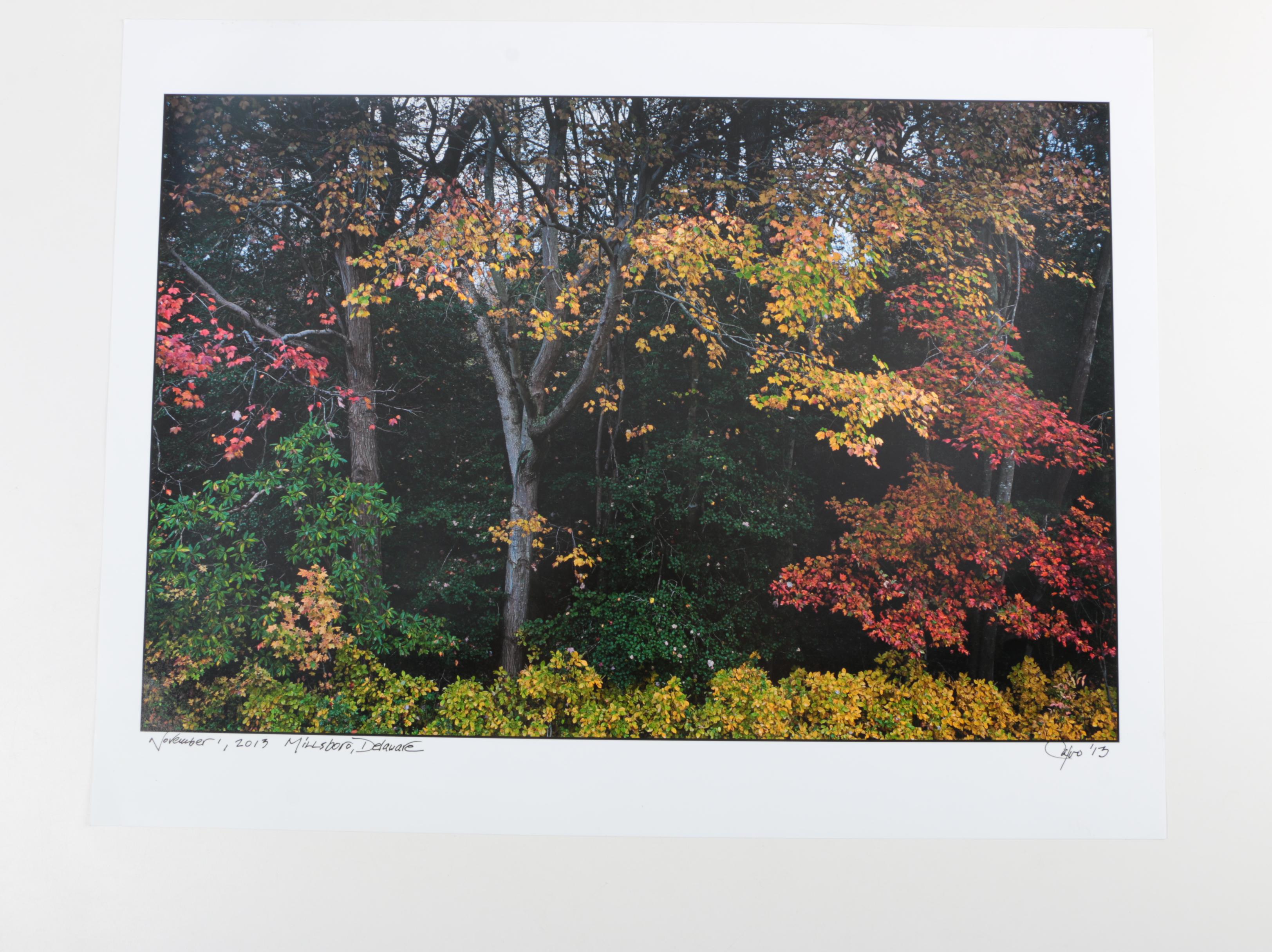 Richard Calvo Signed Photographs