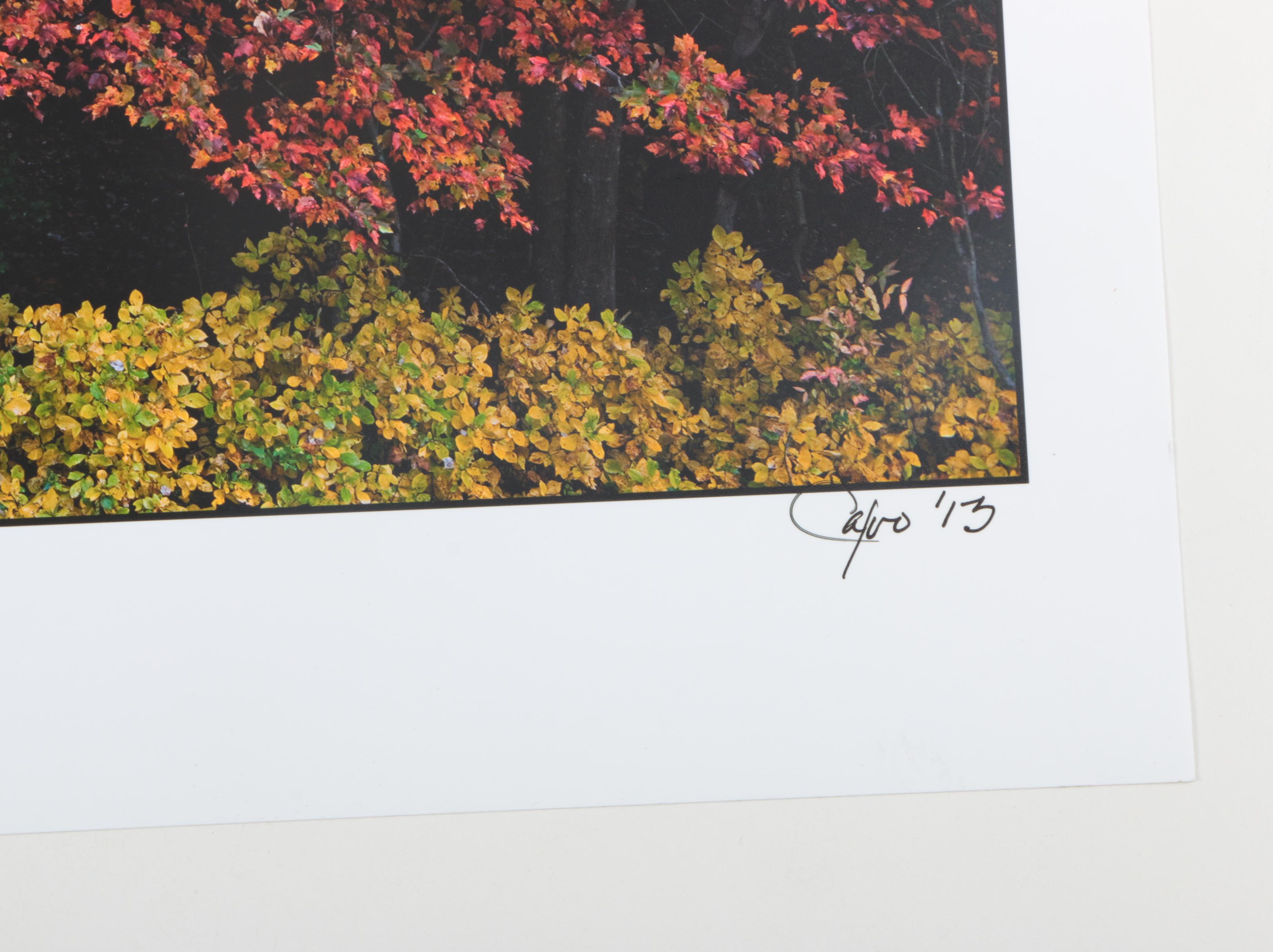 Richard Calvo Signed Photographs