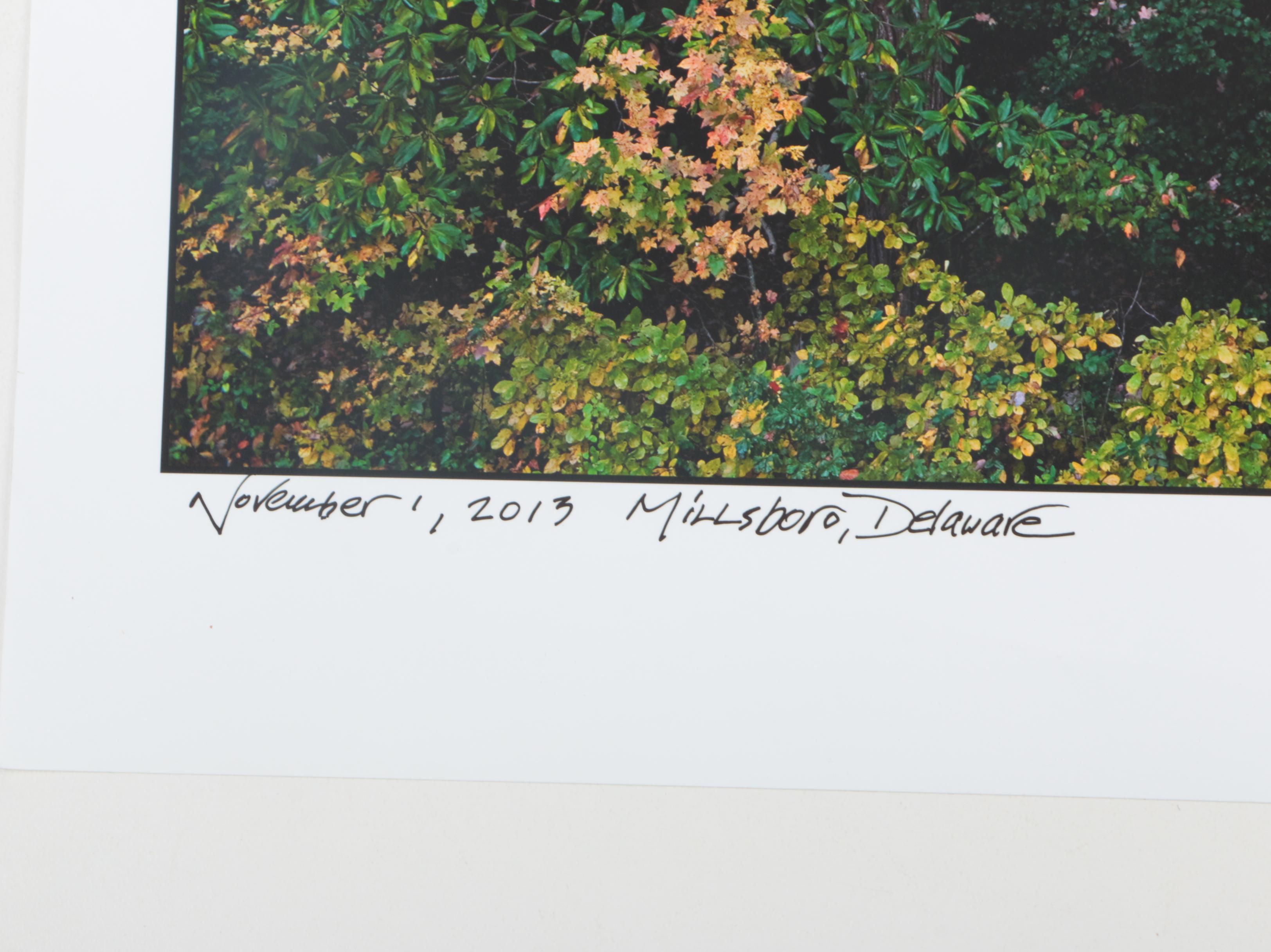 Richard Calvo Signed Photographs