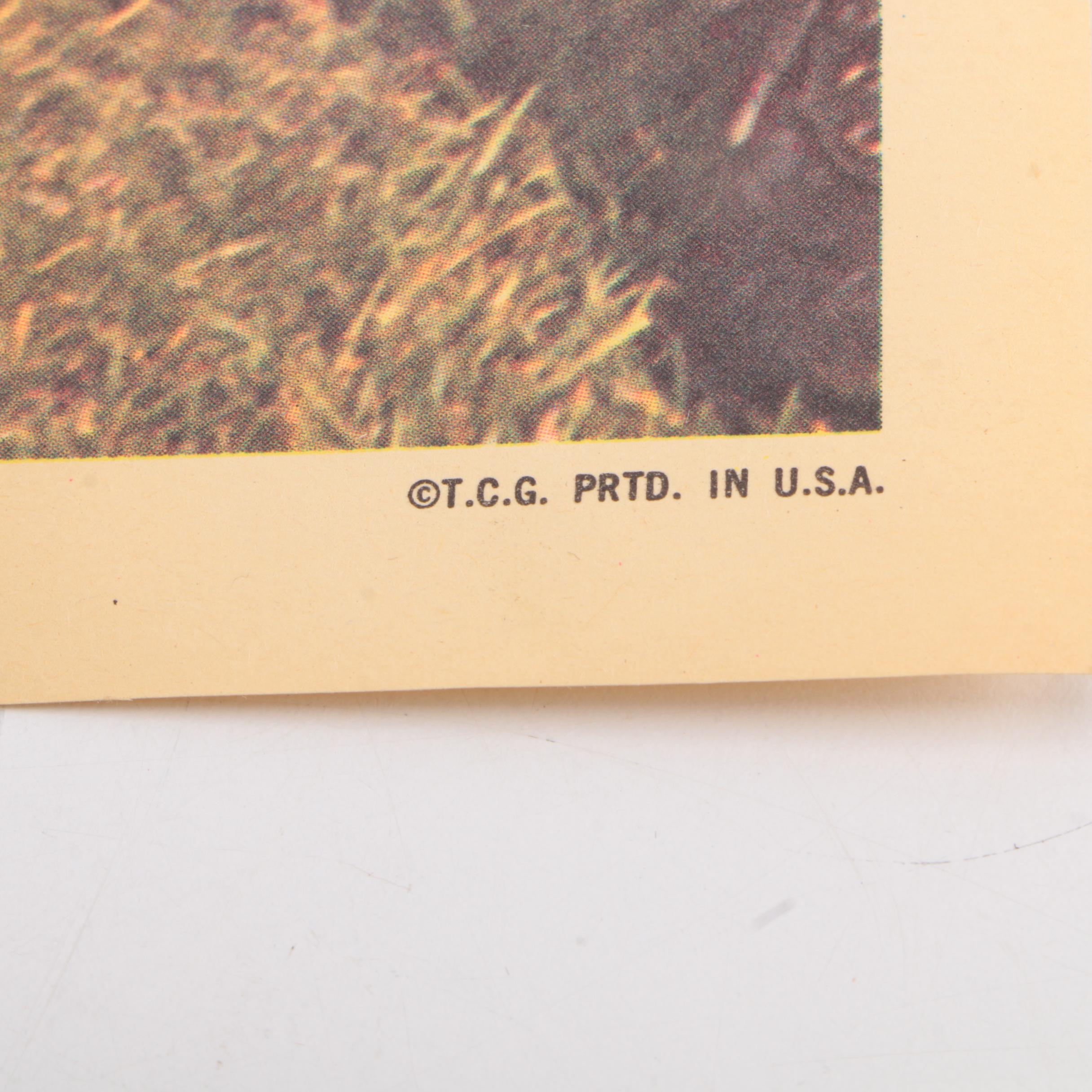 Collection of Topps Trading Cards and Posters