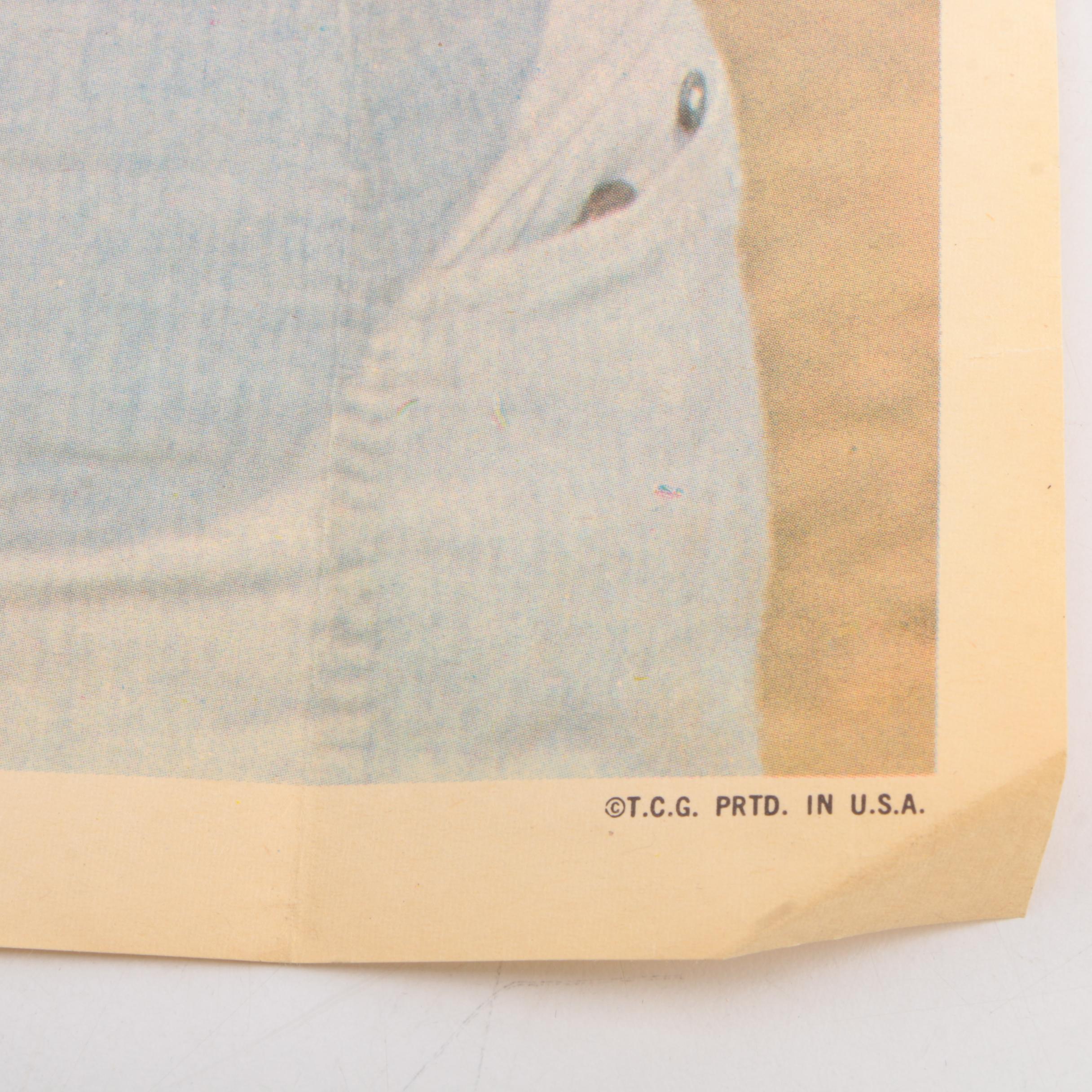 Collection of Topps Trading Cards and Posters