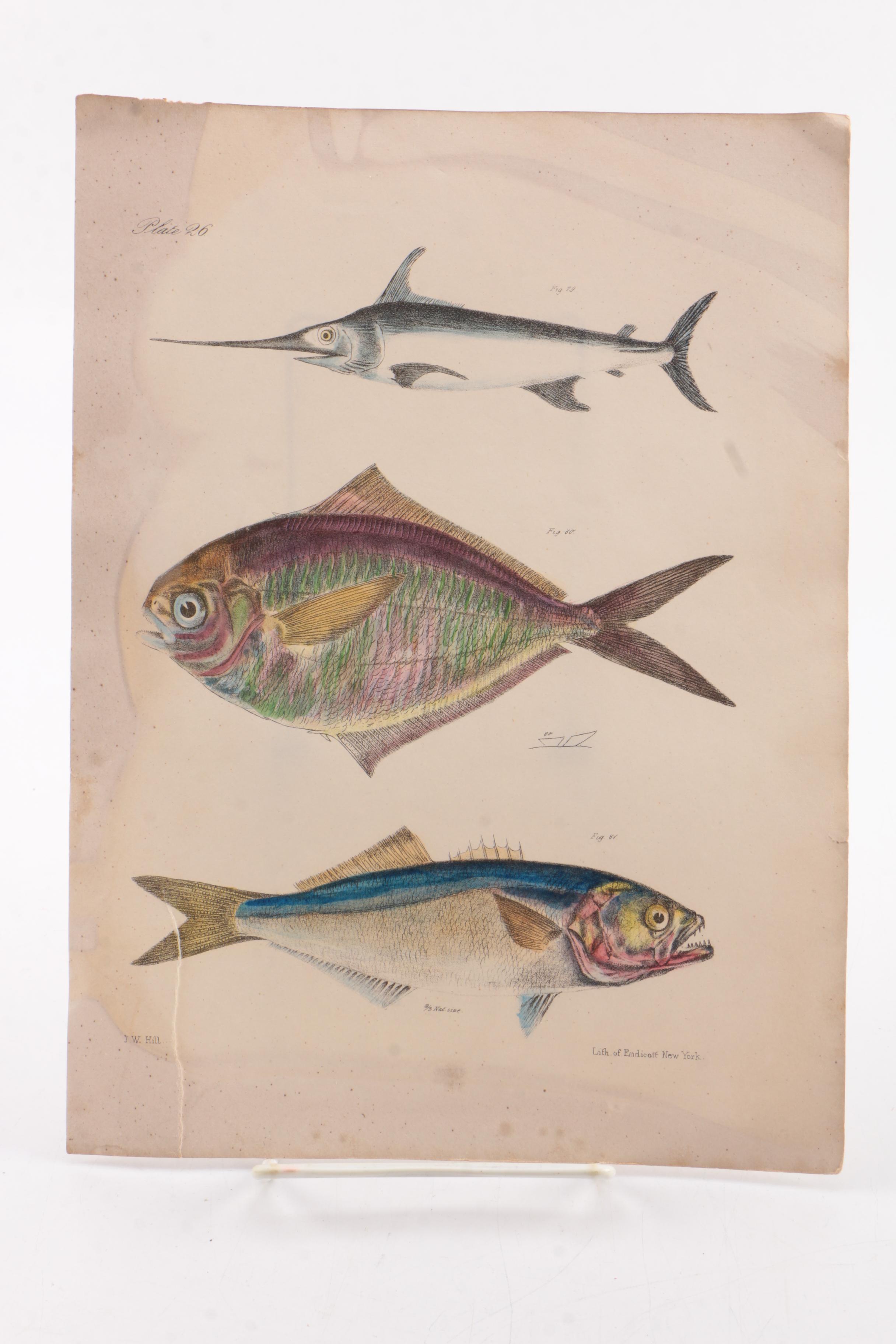 Vintage Nonfiction Books