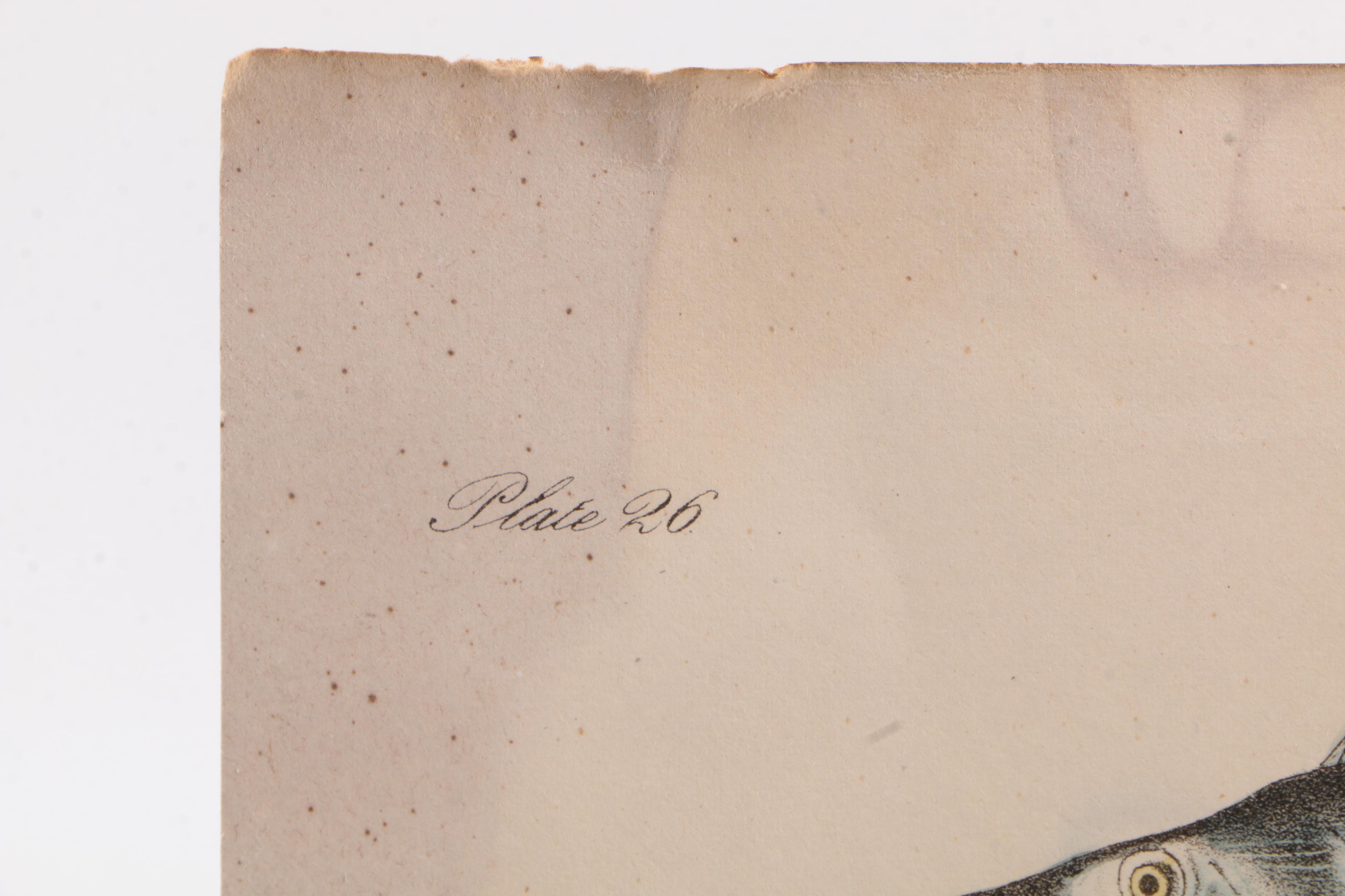 Vintage Nonfiction Books