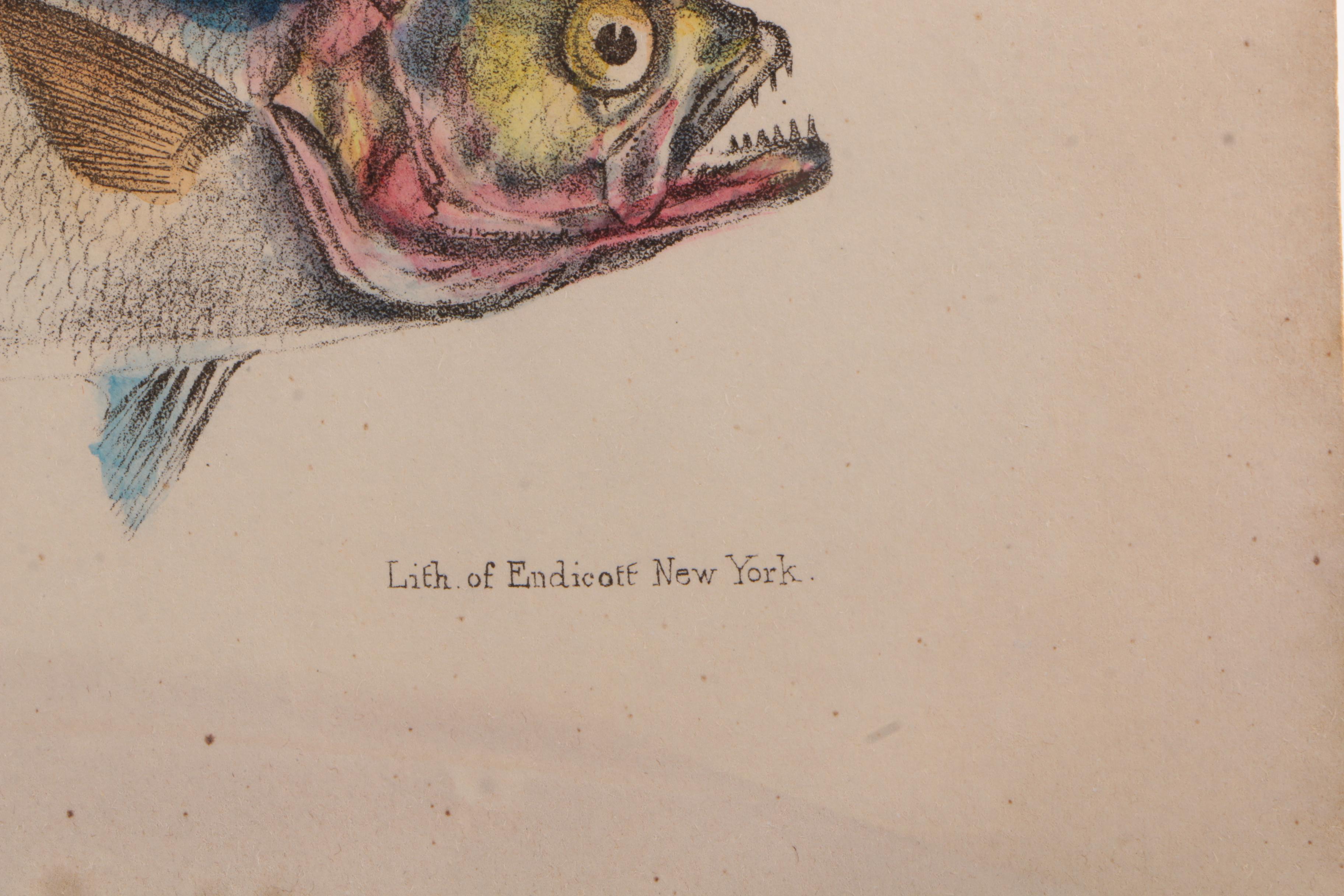 Vintage Nonfiction Books