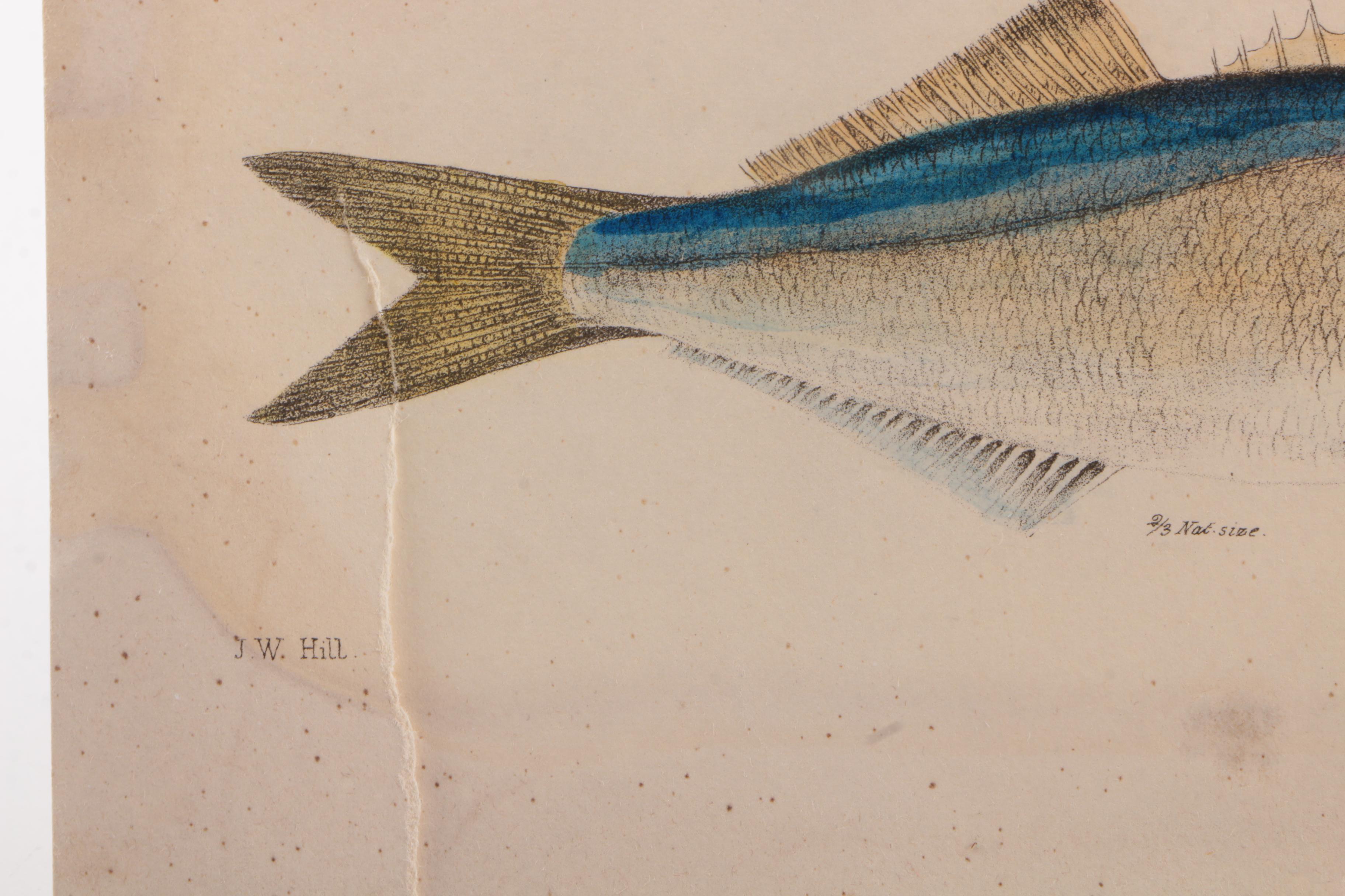 Vintage Nonfiction Books