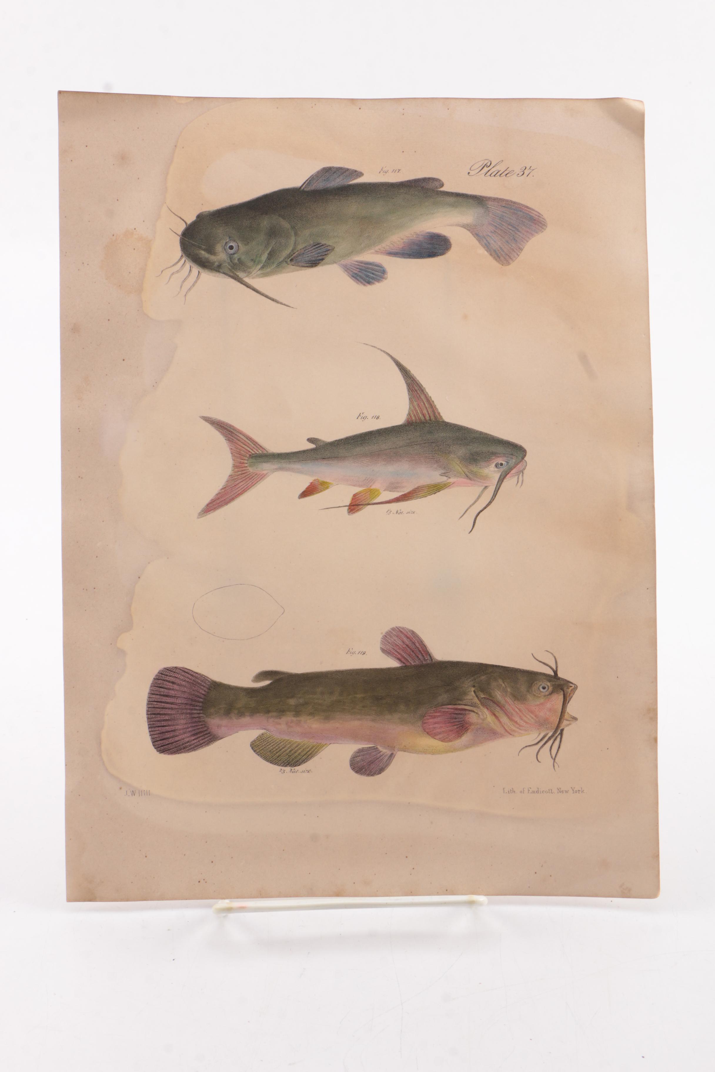 Vintage Nonfiction Books