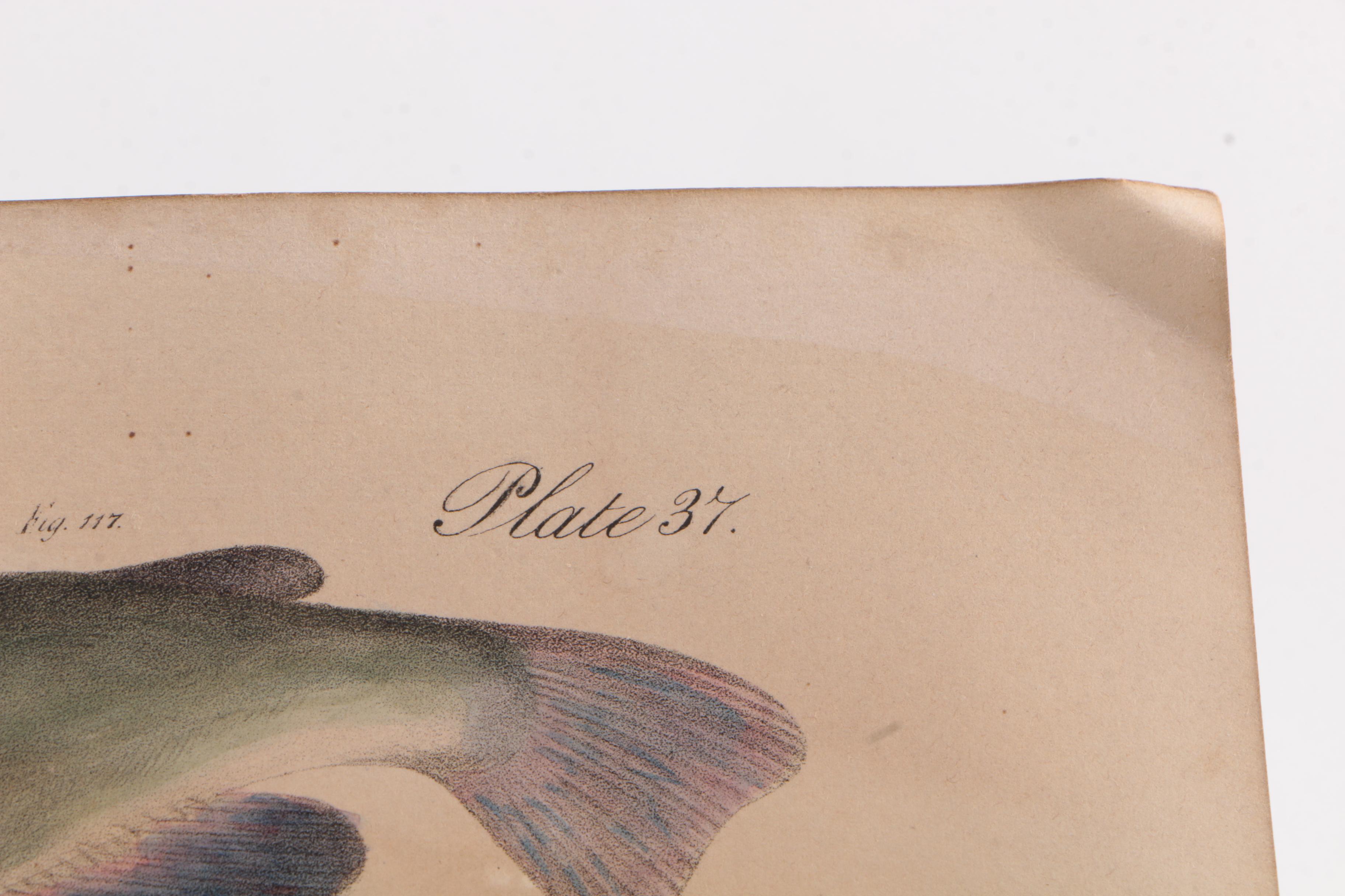 Vintage Nonfiction Books