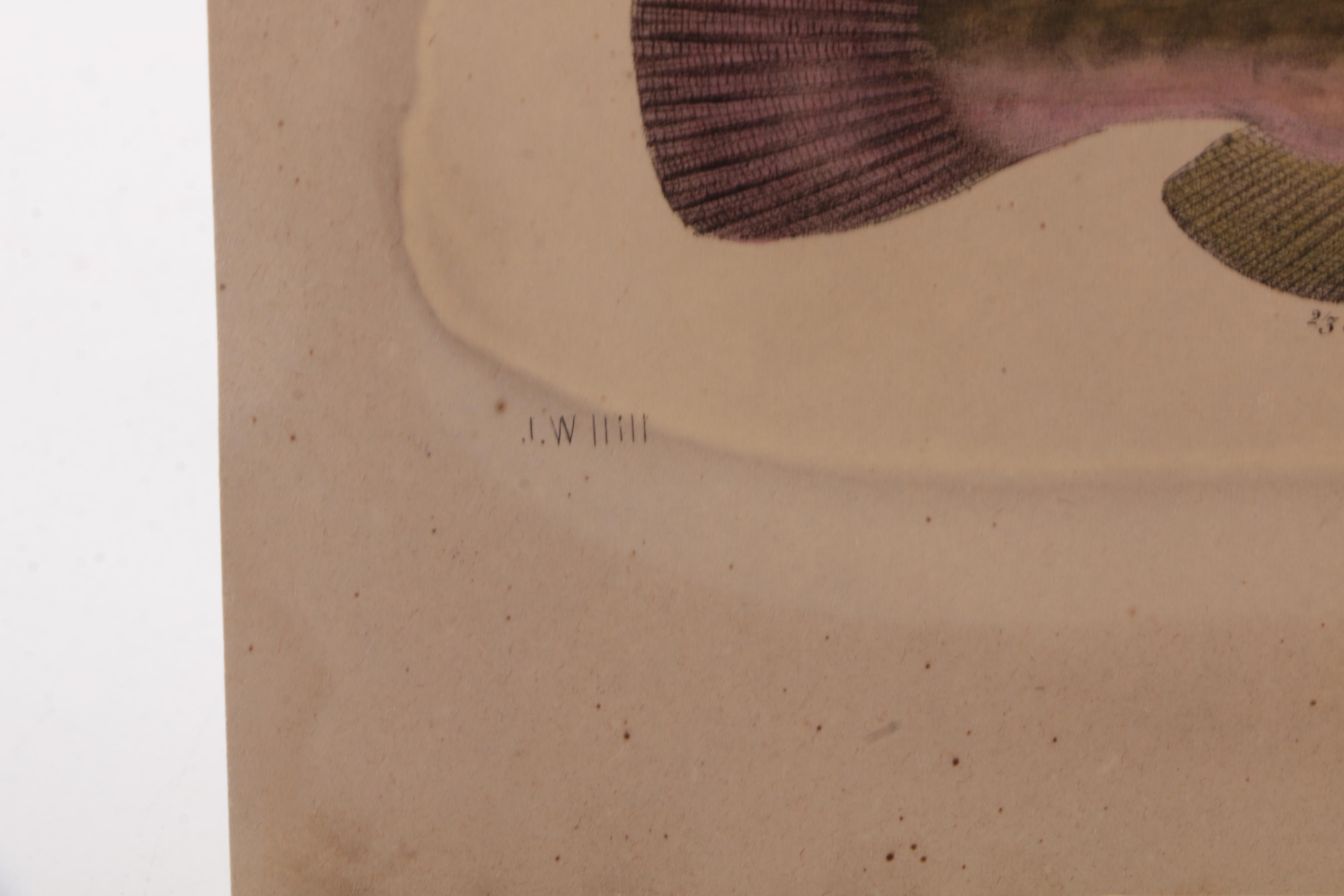 Vintage Nonfiction Books