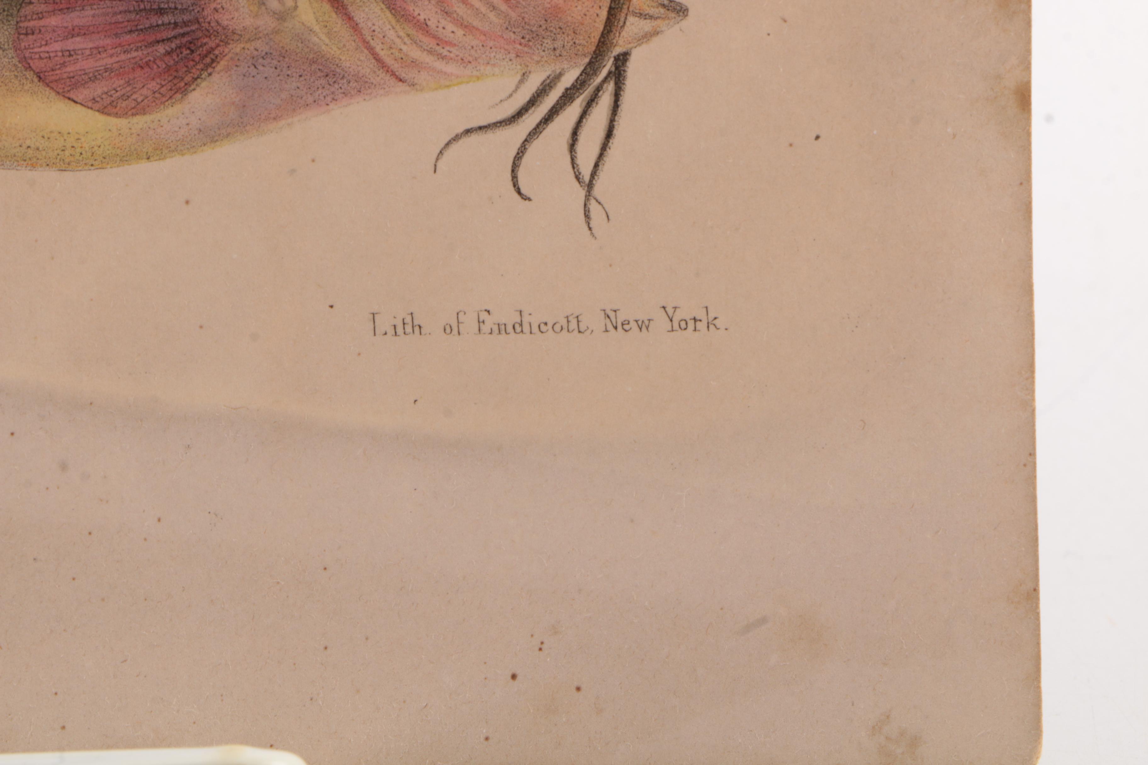 Vintage Nonfiction Books