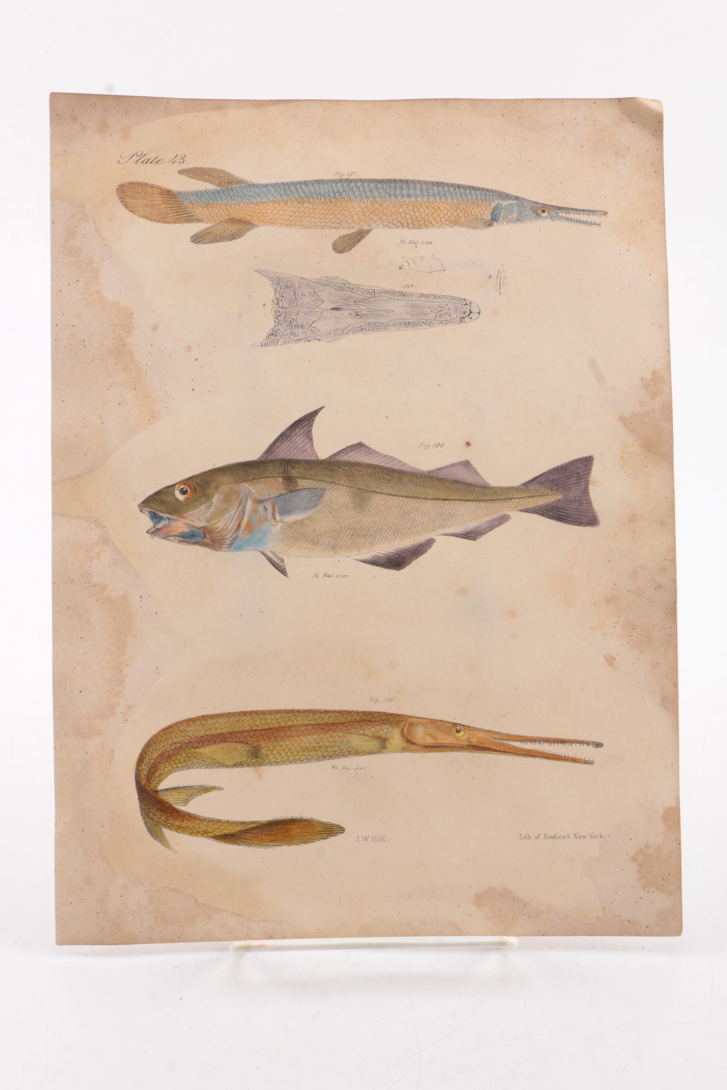 Vintage Nonfiction Books