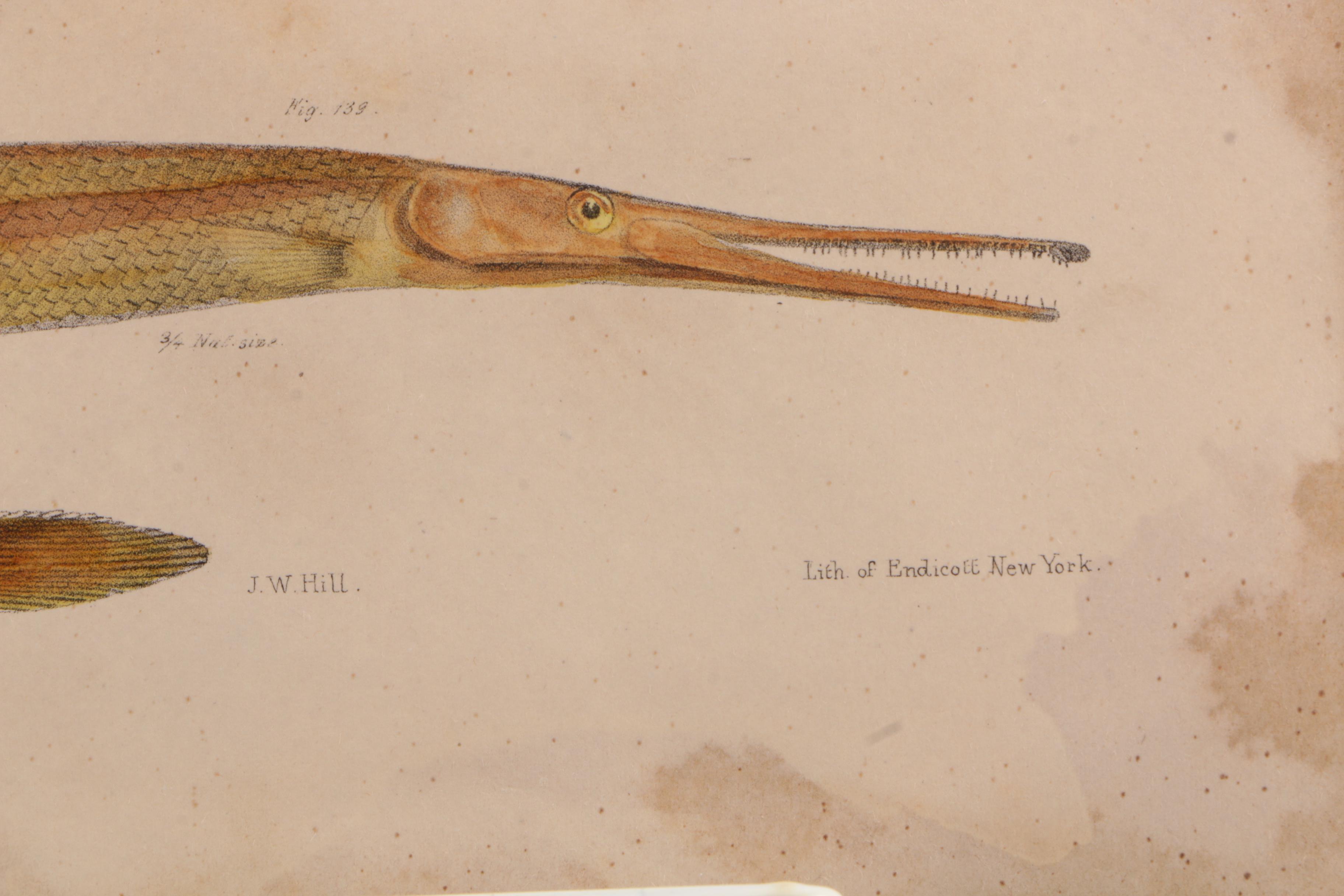 Vintage Nonfiction Books