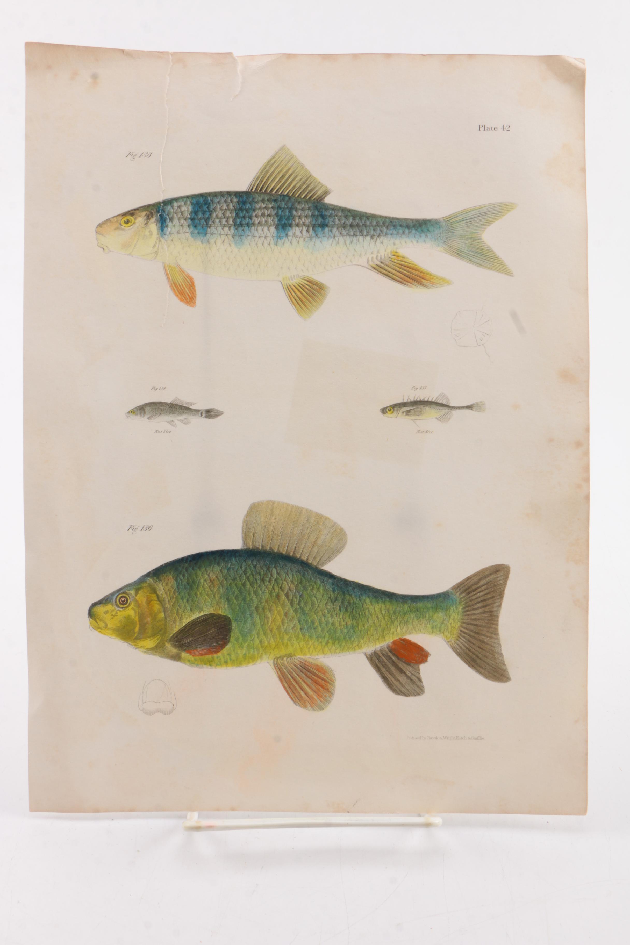 Vintage Nonfiction Books