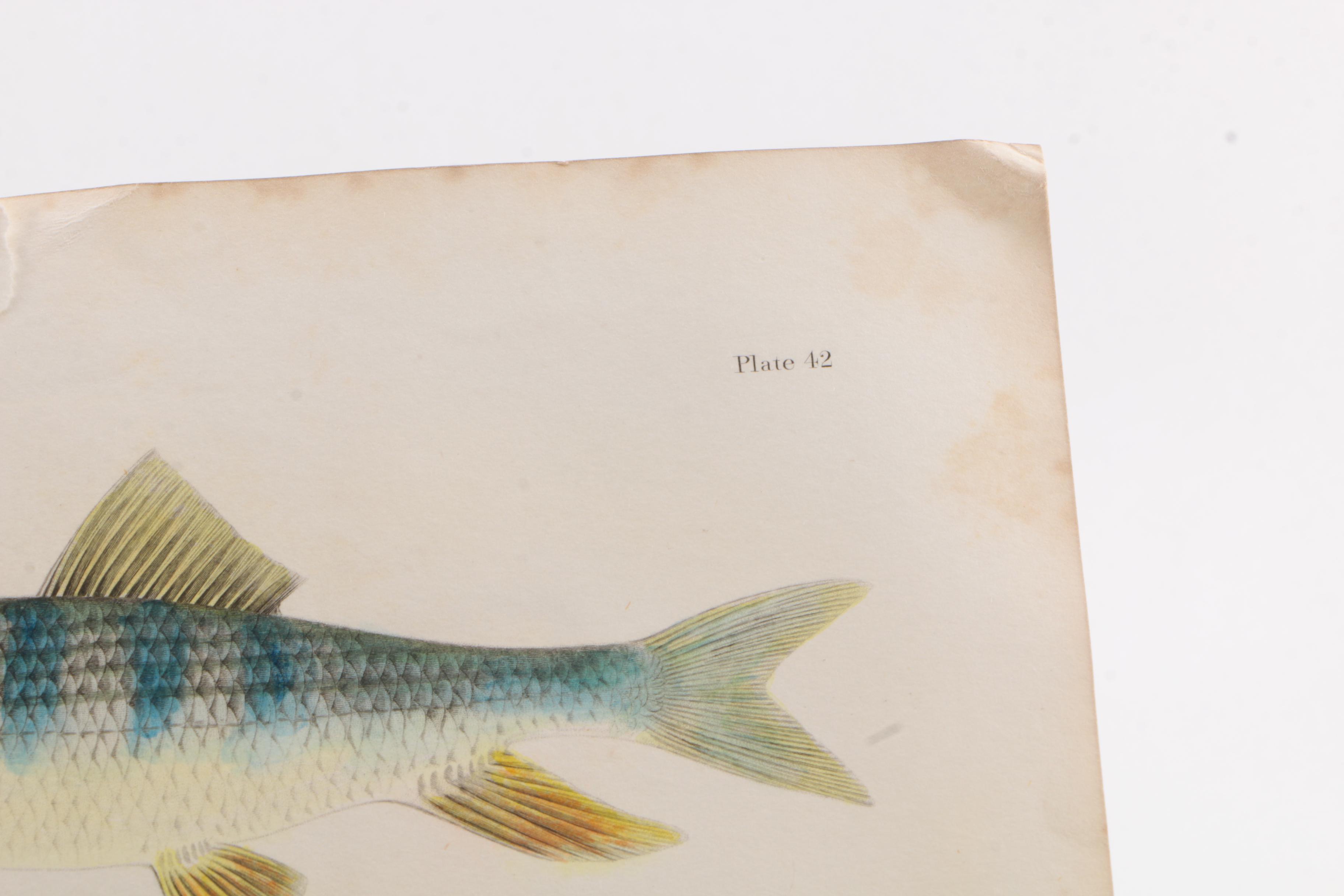 Vintage Nonfiction Books