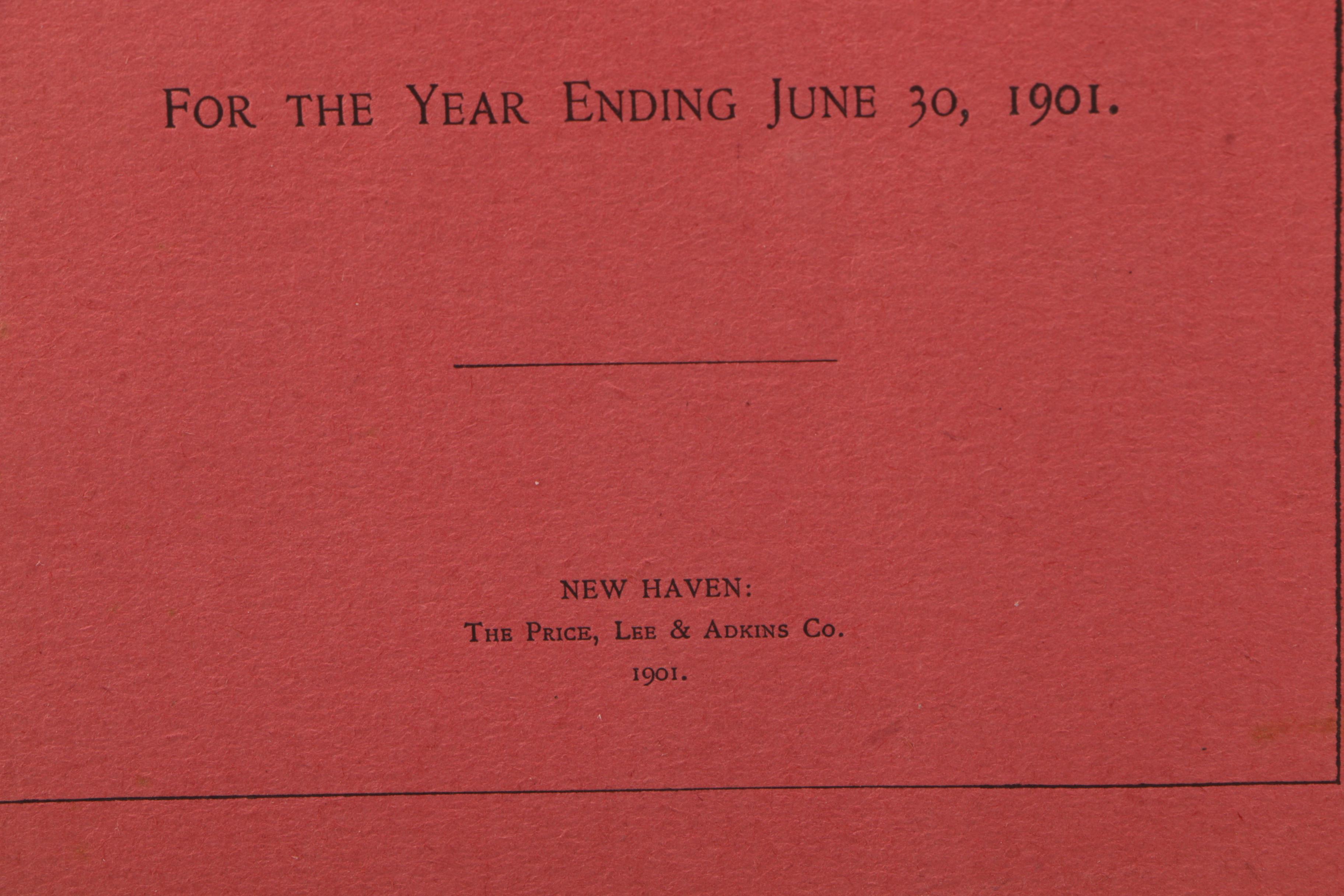 Generous Assortment of National Park Maps and Travel Brochures