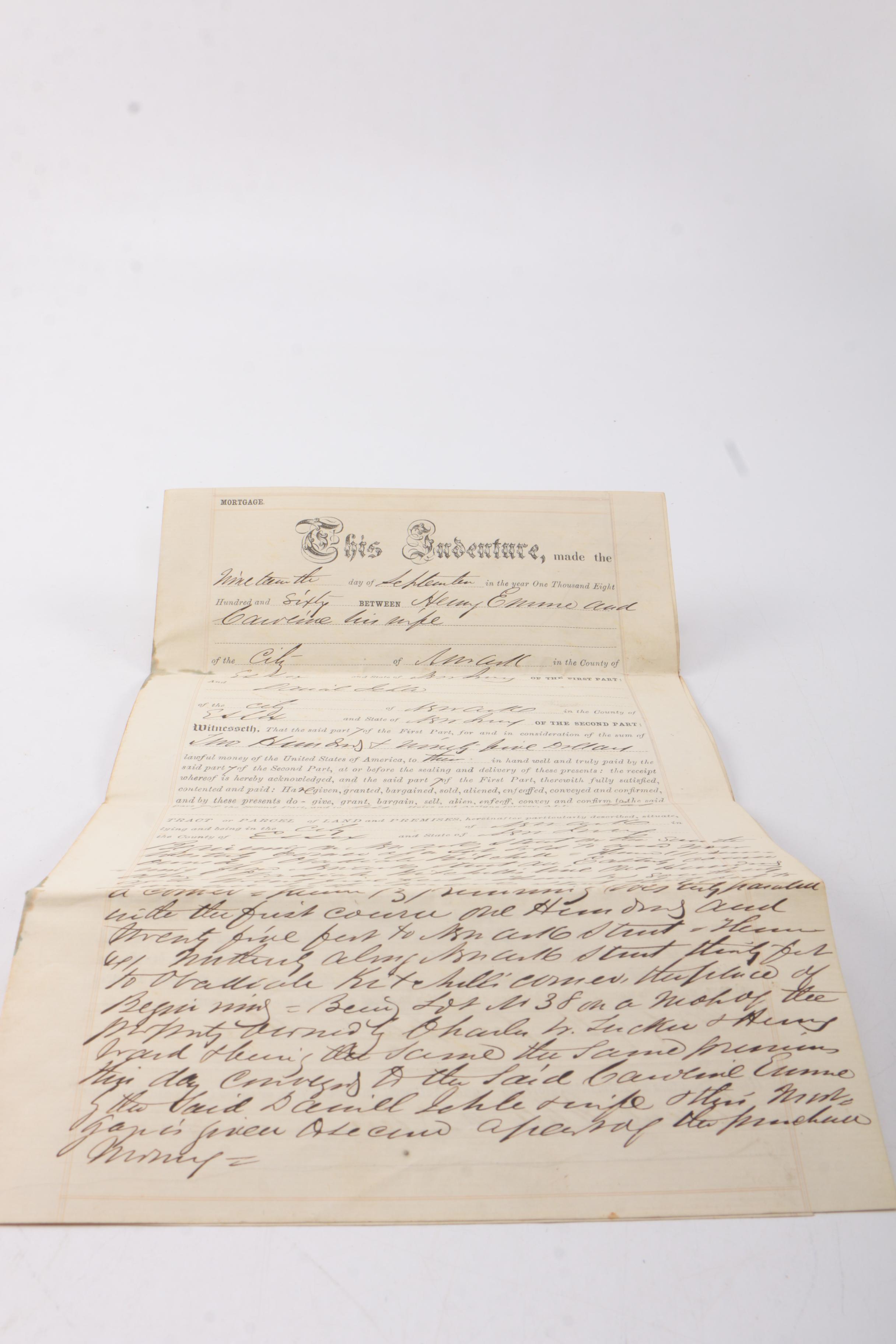 Generous Assortment of National Park Maps and Travel Brochures