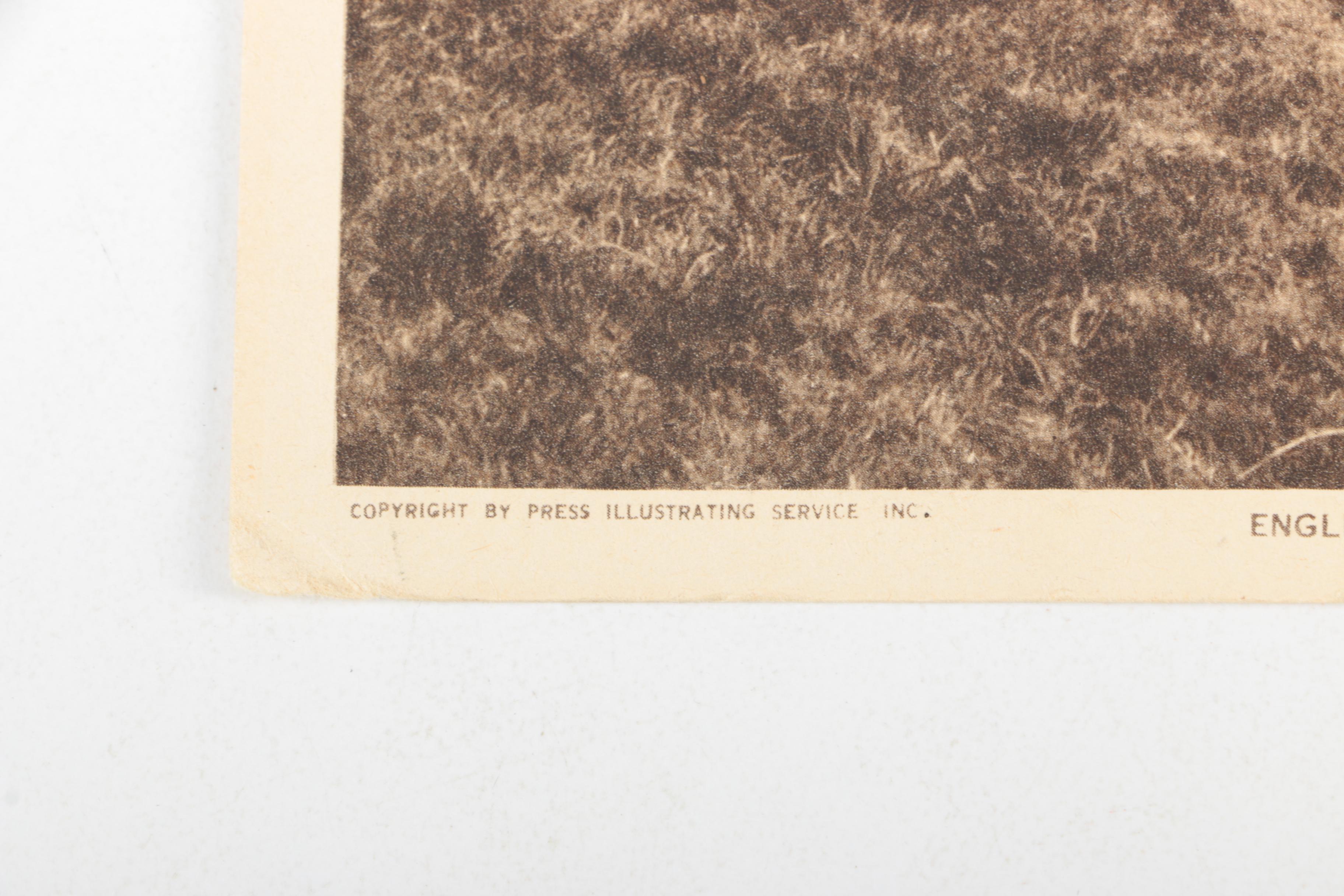 Vintage Photographs of Houses and Groups of People