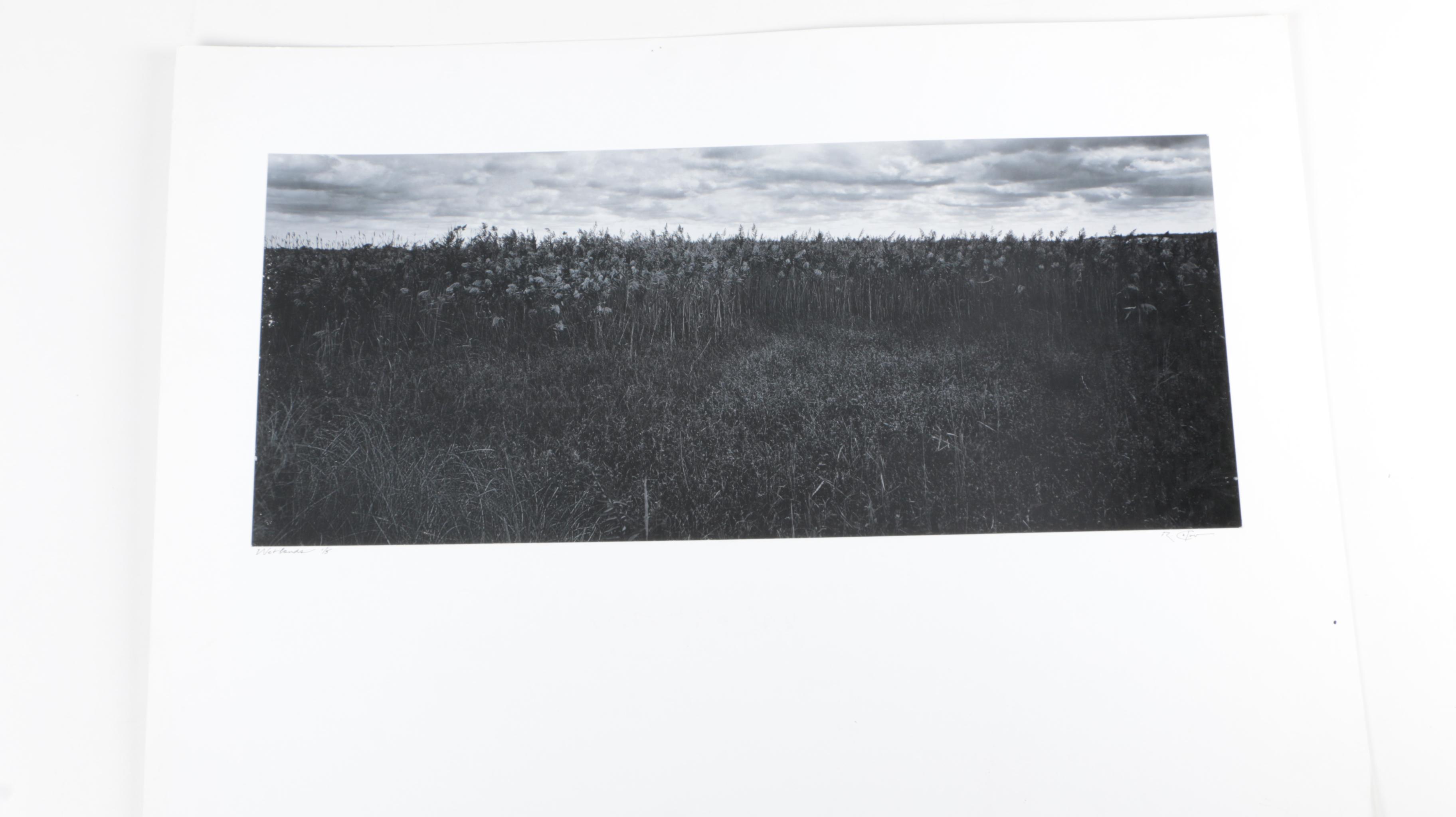 Calvo Photographs of Landscapes