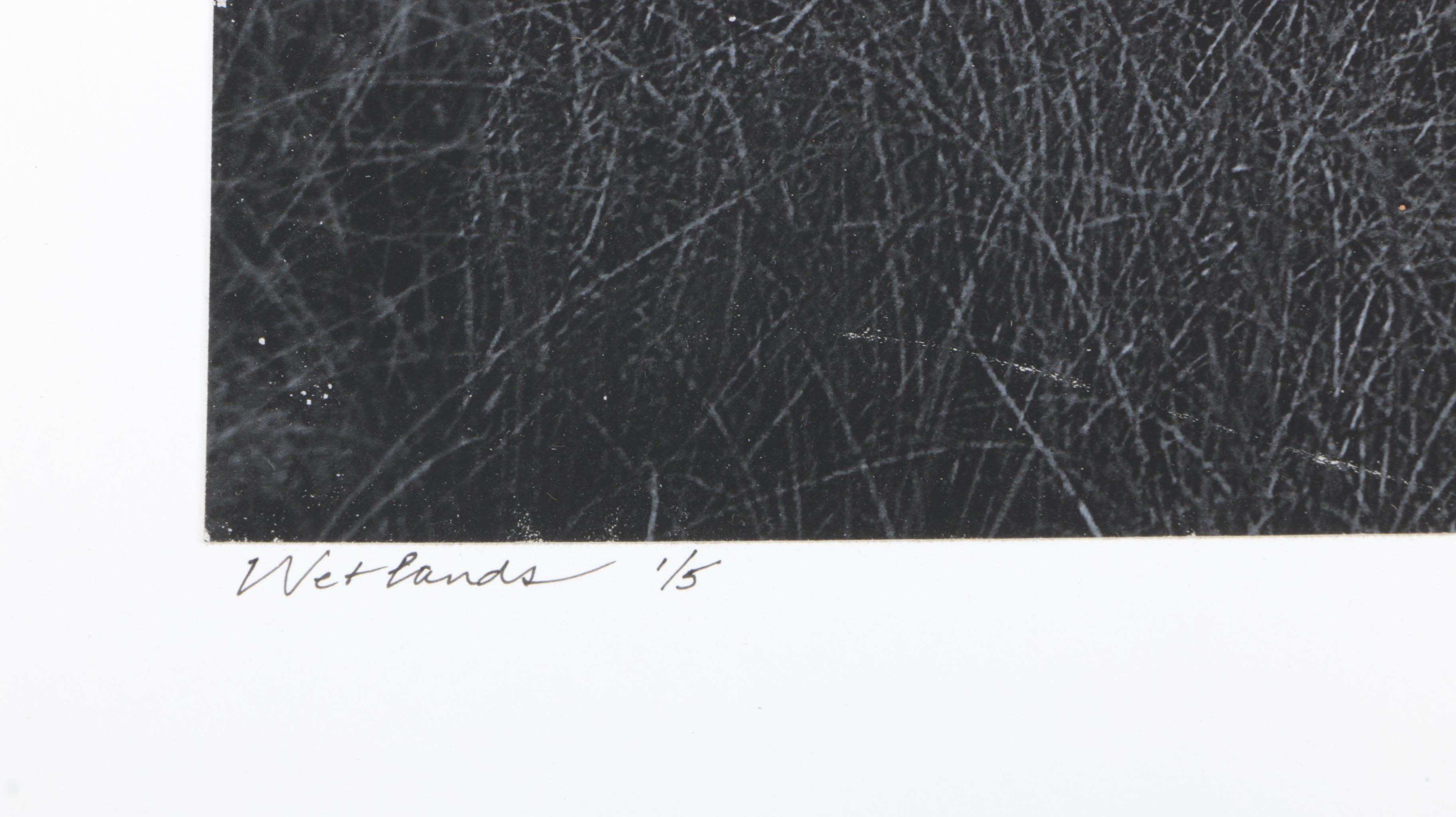 Calvo Photographs of Landscapes