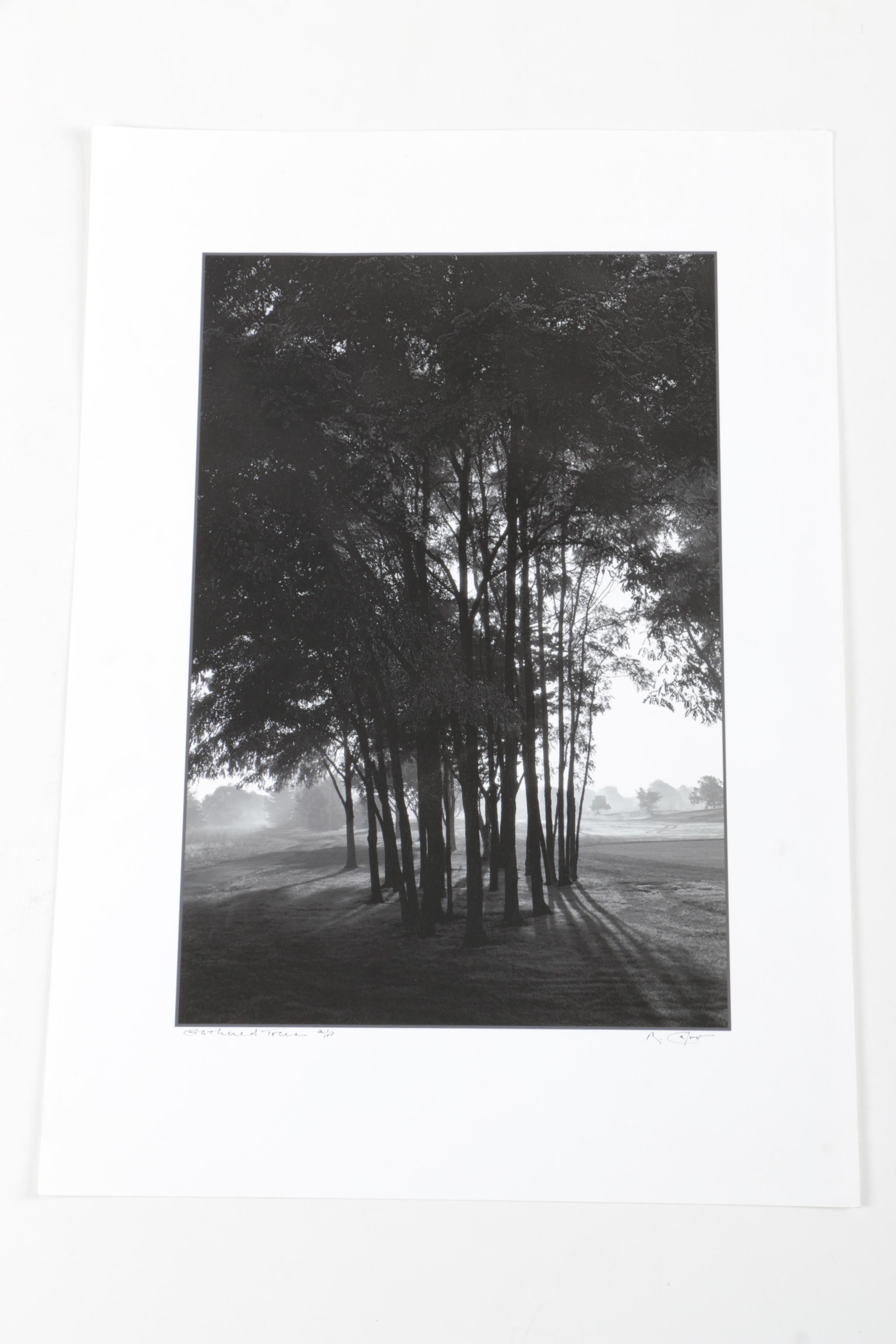 Calvo Photographs of Landscapes