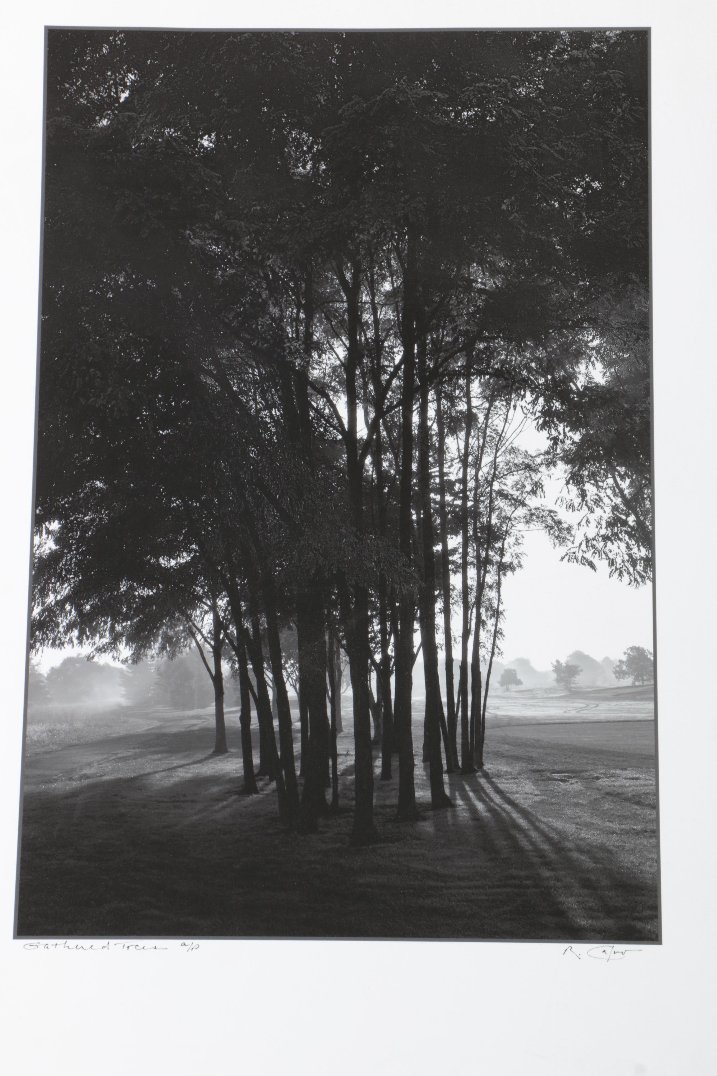 Calvo Photographs of Landscapes