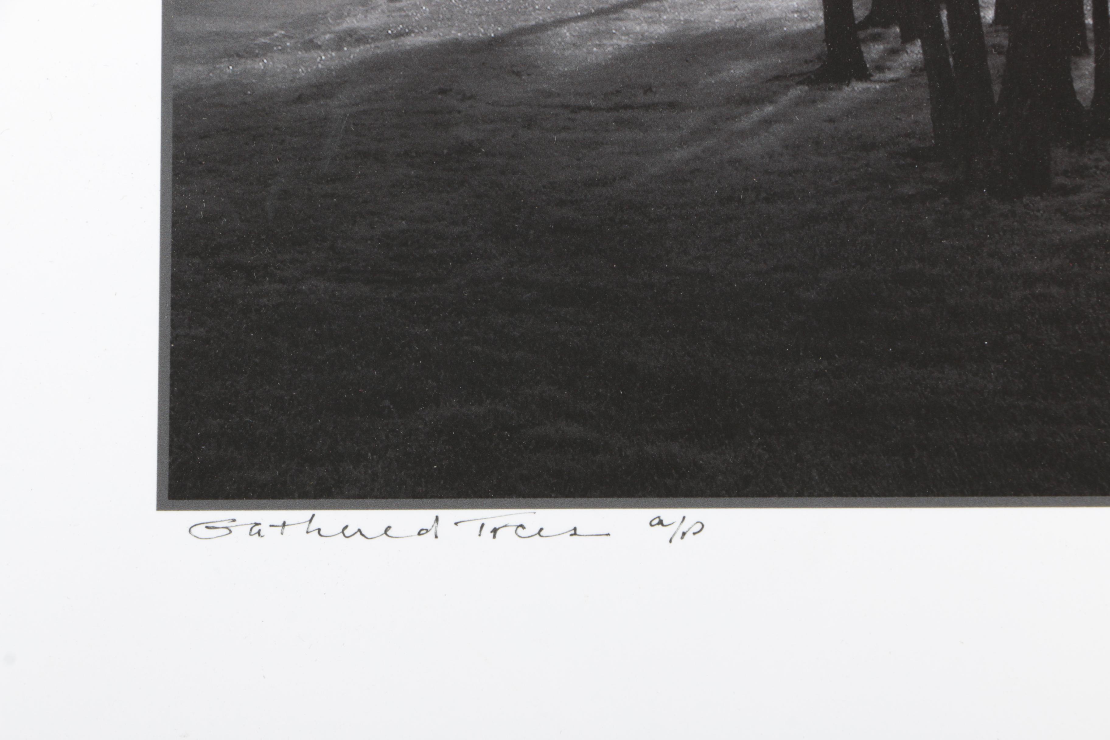 Calvo Photographs of Landscapes