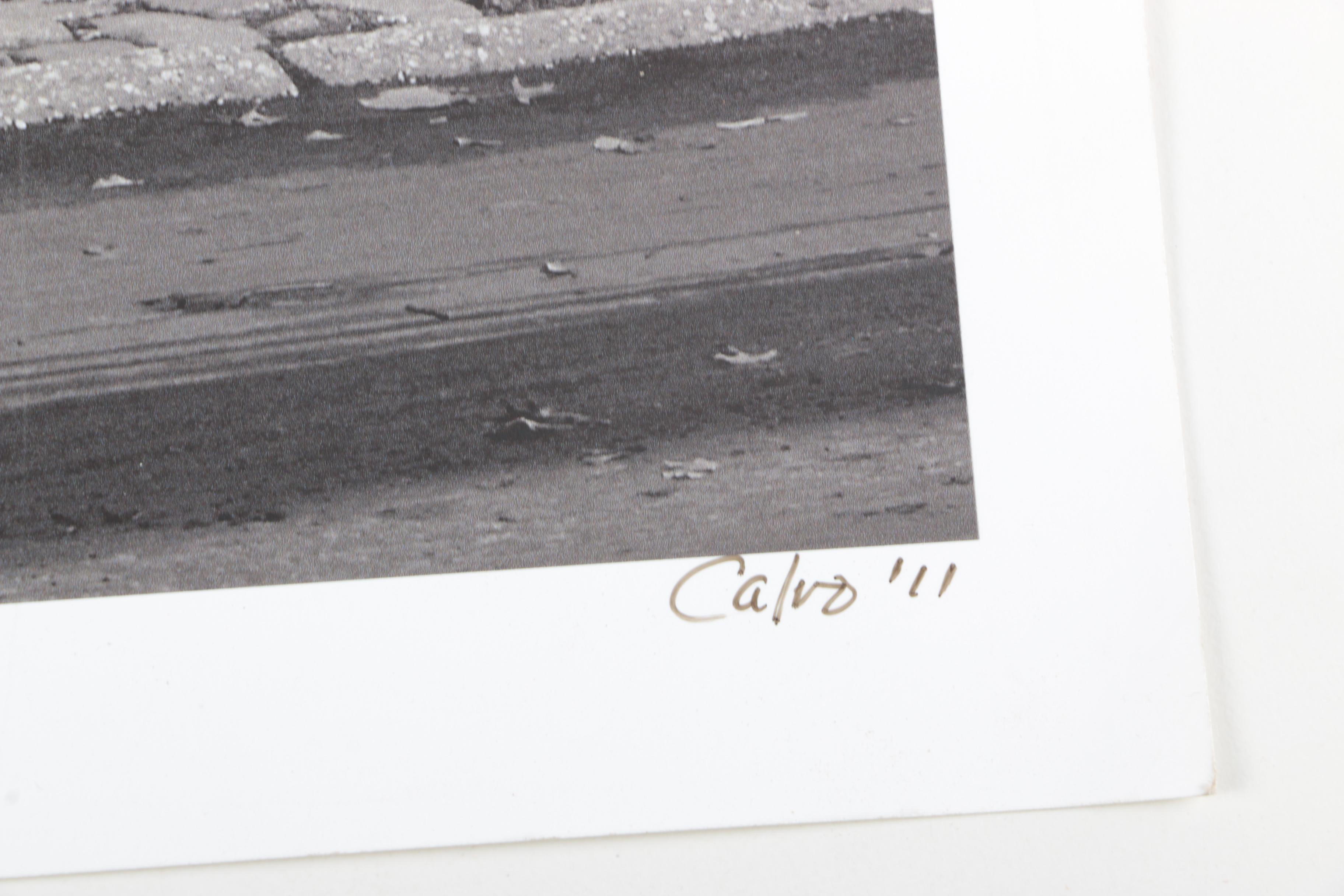 Calvo Photographs of Landscapes