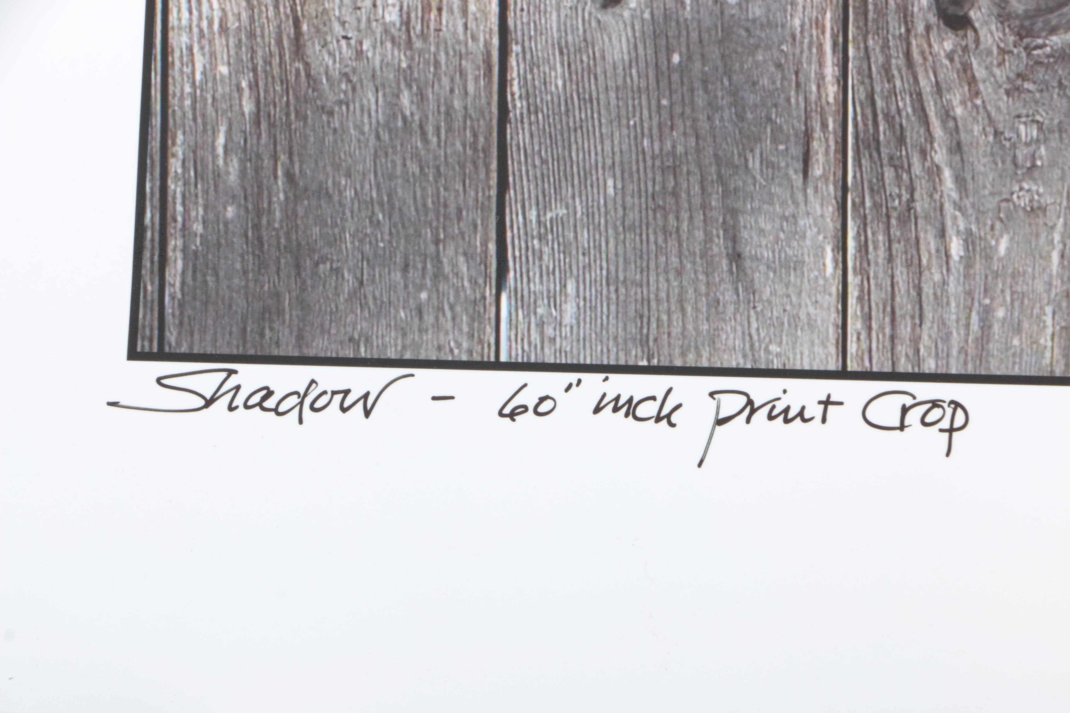 Calvo Photographs of Landscapes