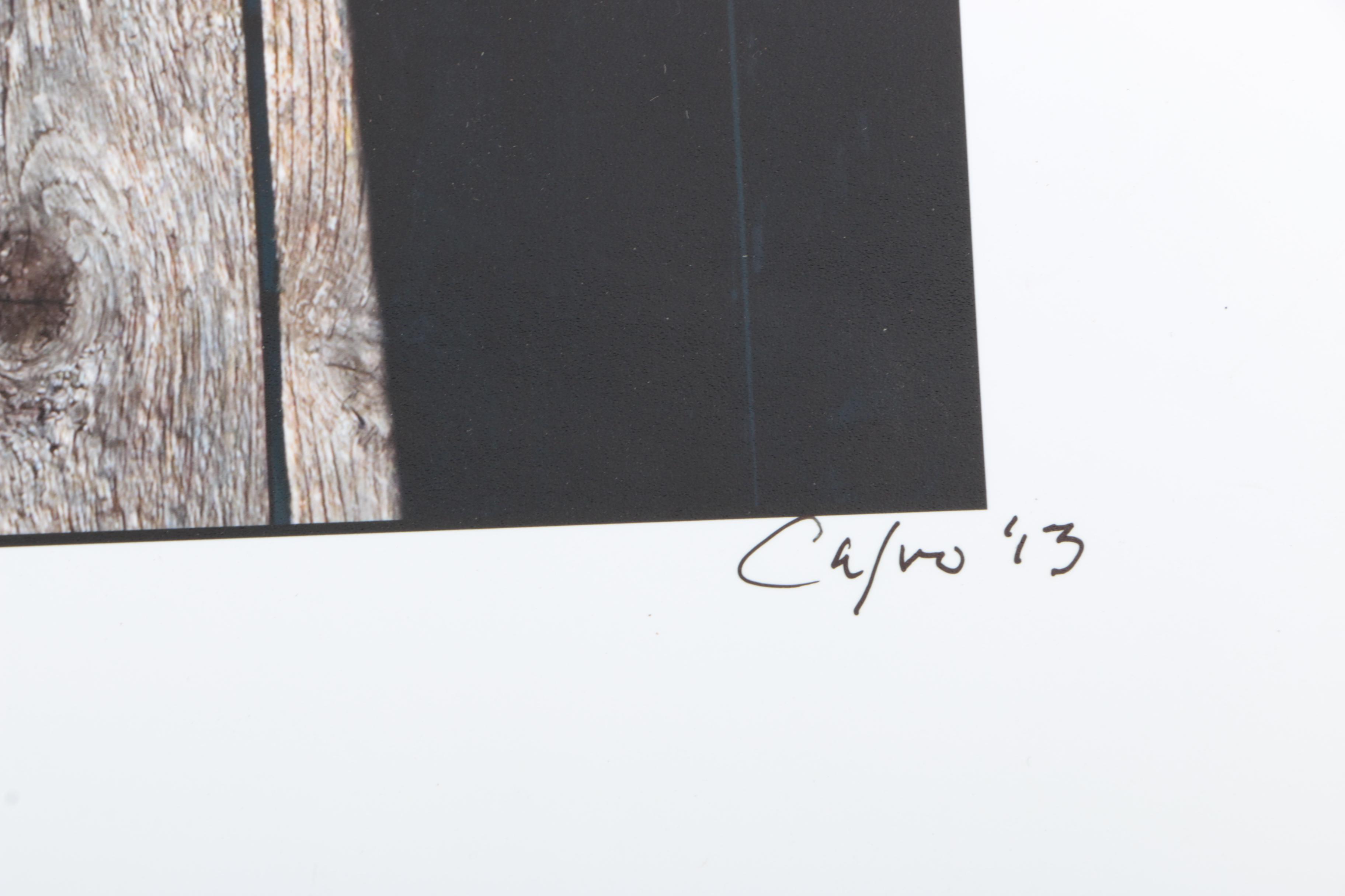 Calvo Photographs of Landscapes