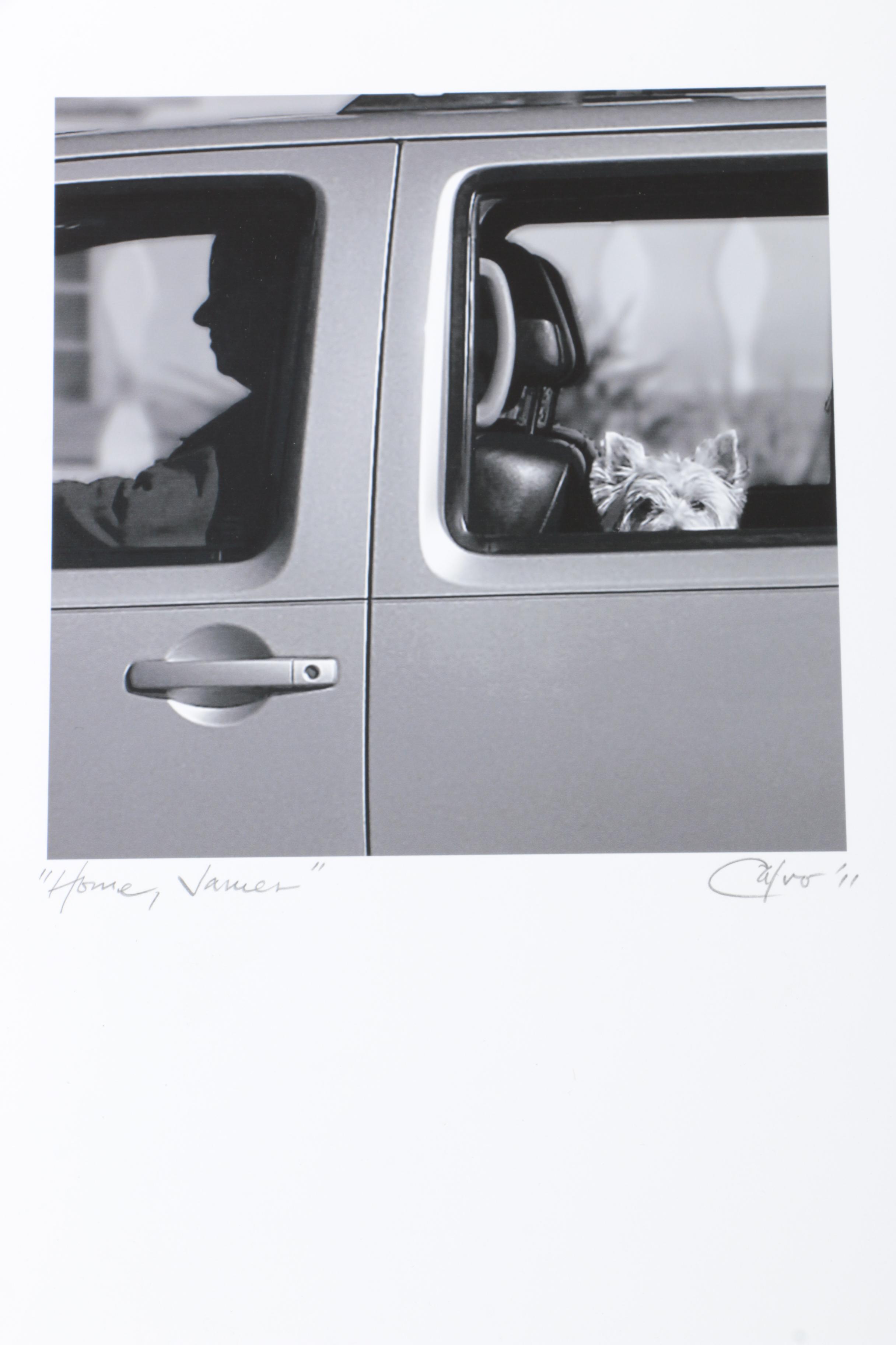 Calvo Photographs of Landscapes