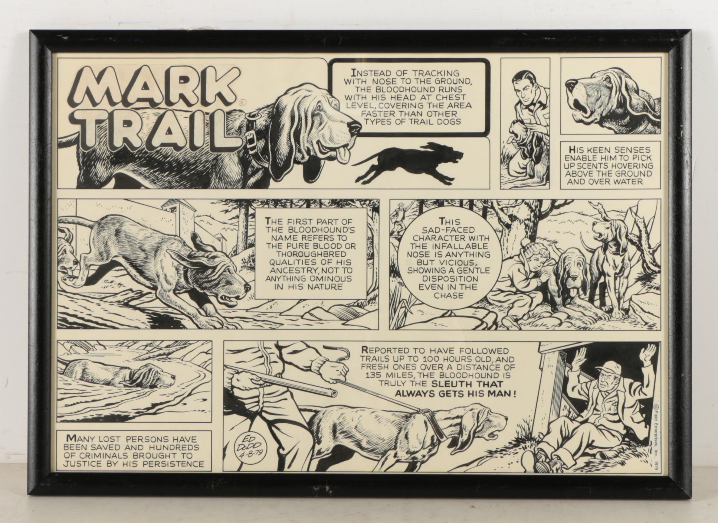 Ed Dodd "Mark Trail" Comic Pages