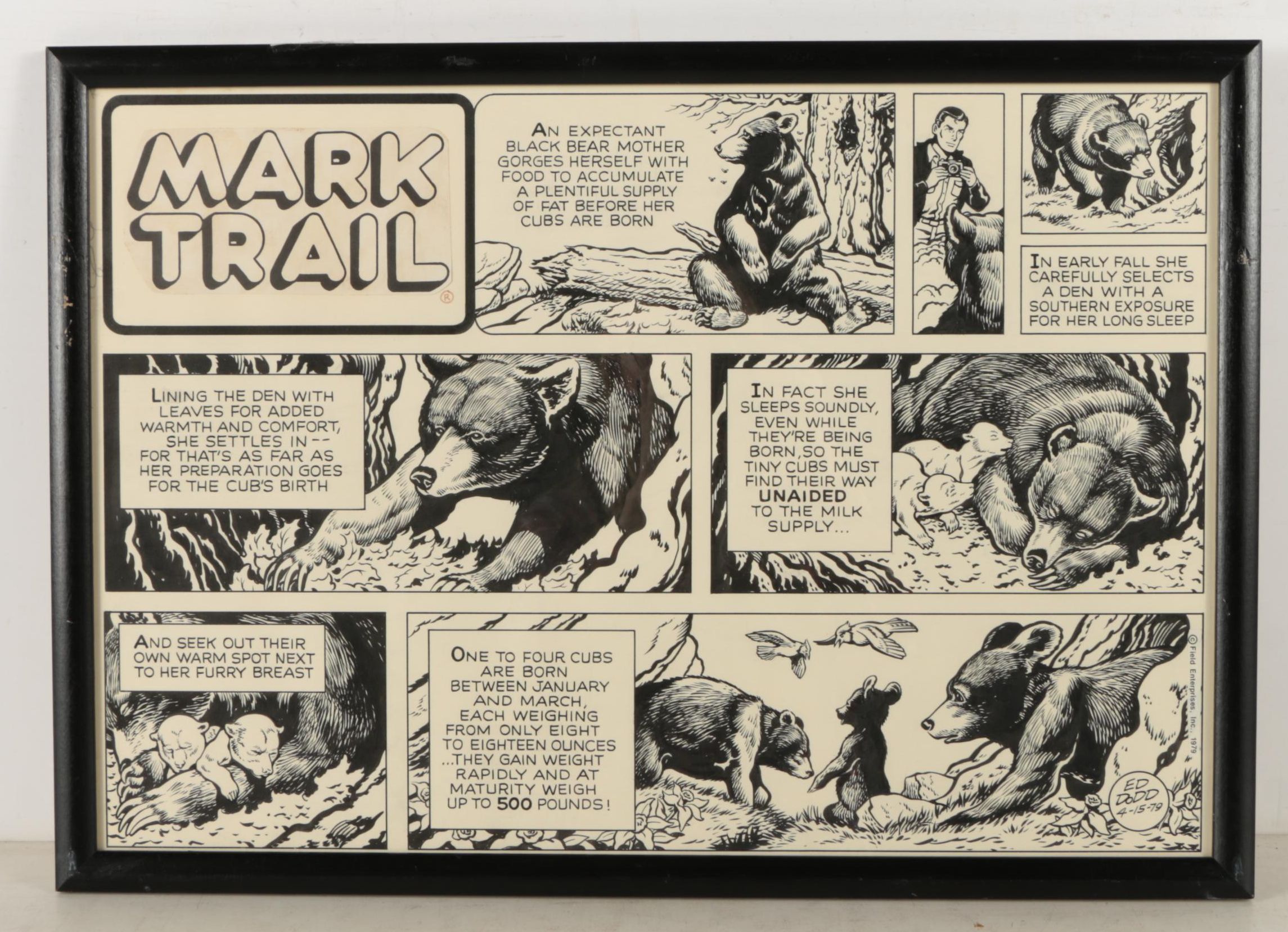 Ed Dodd "Mark Trail" Comic Pages