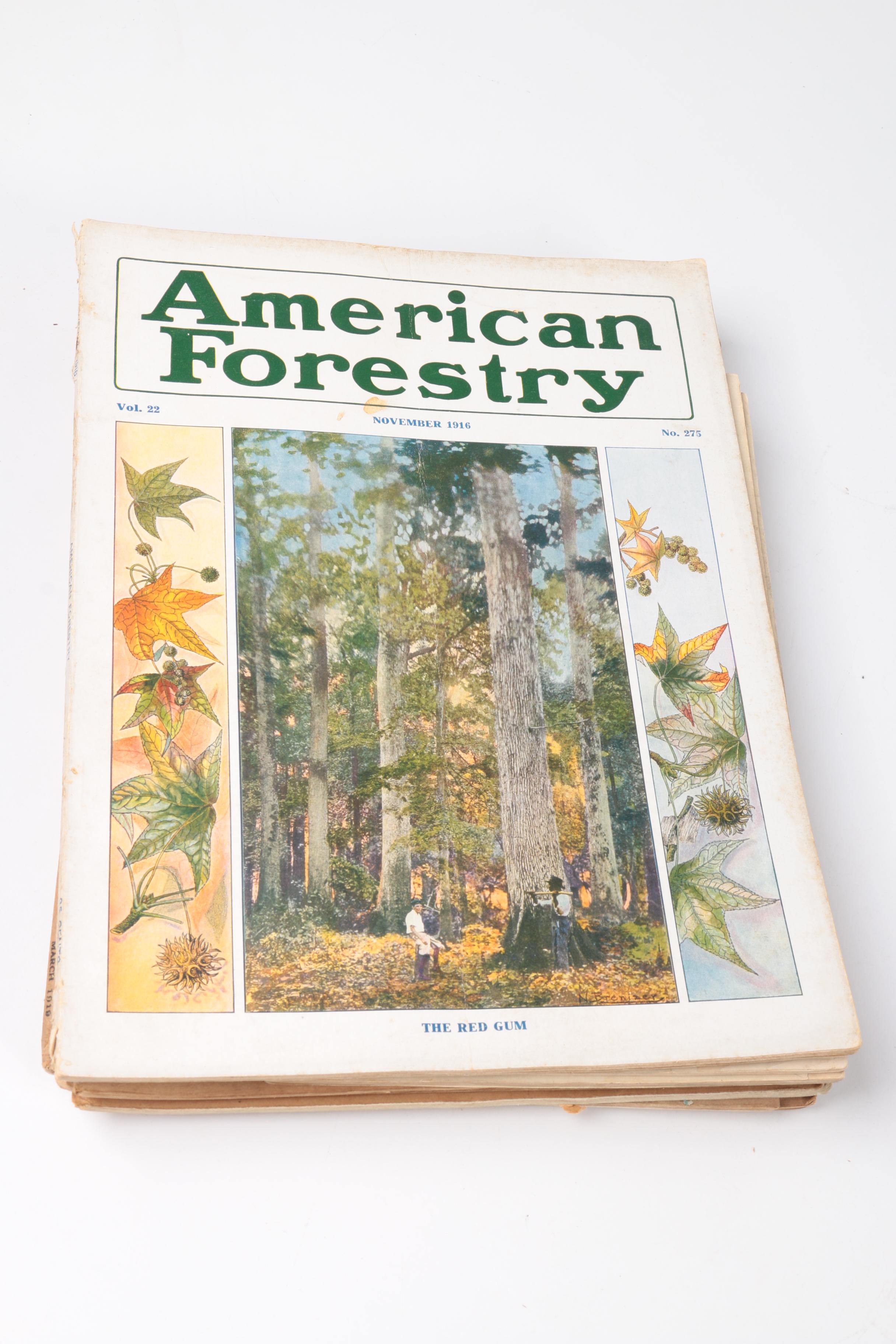 Early 20th-Century "American Forestry" Magazines